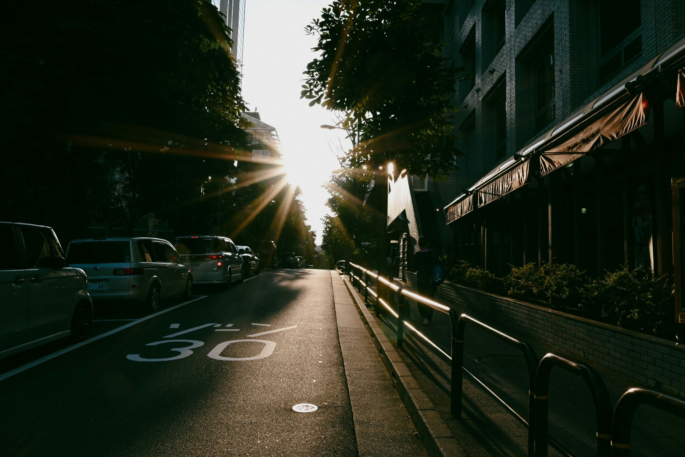street with parked cars and a sidewalk railing in sunset light