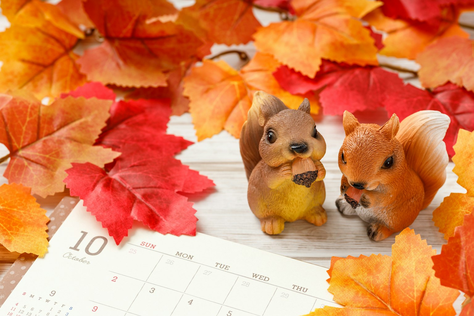 Dos figuritas de ardilla entre hojas de otoño con un calendario