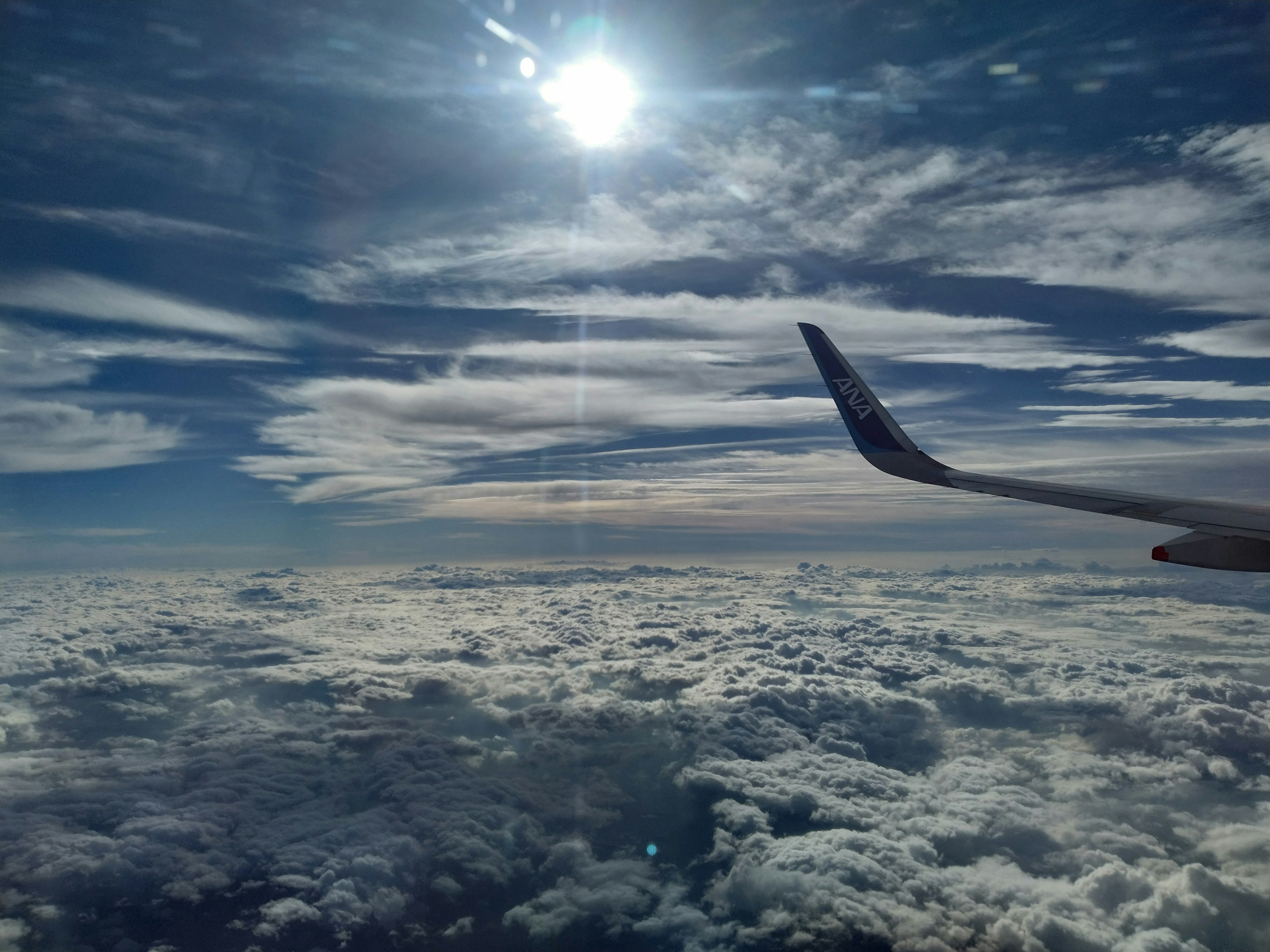雲海の上を飛ぶ飛行機の機体と青空