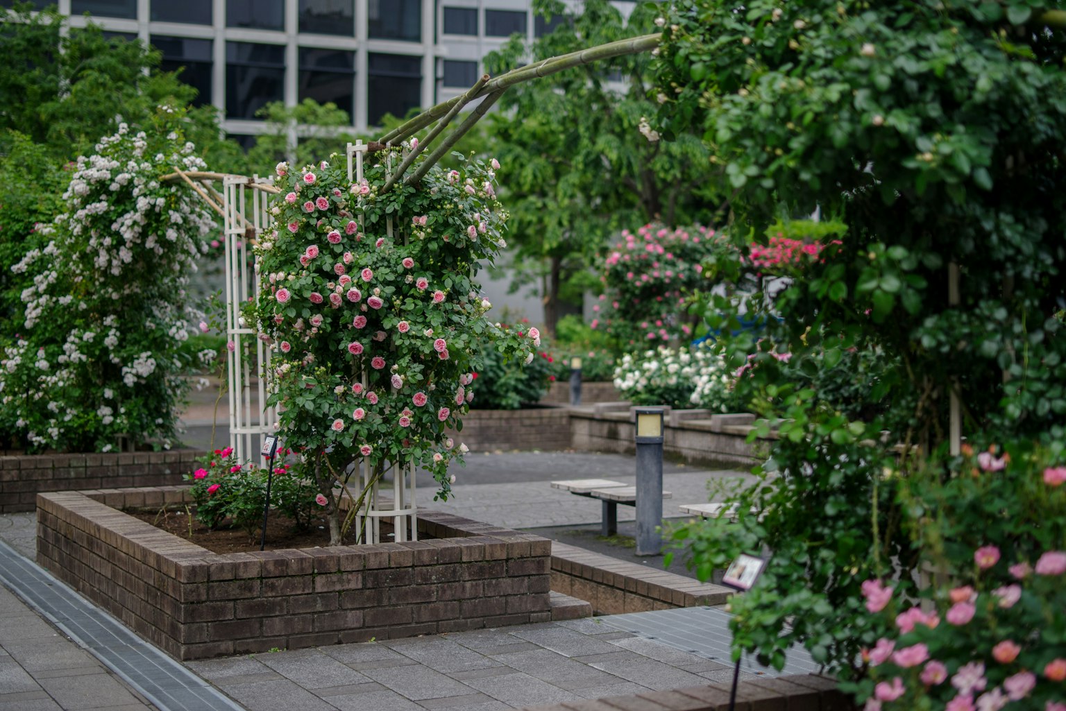 Jardin luxuriant avec des fleurs colorées et une arche