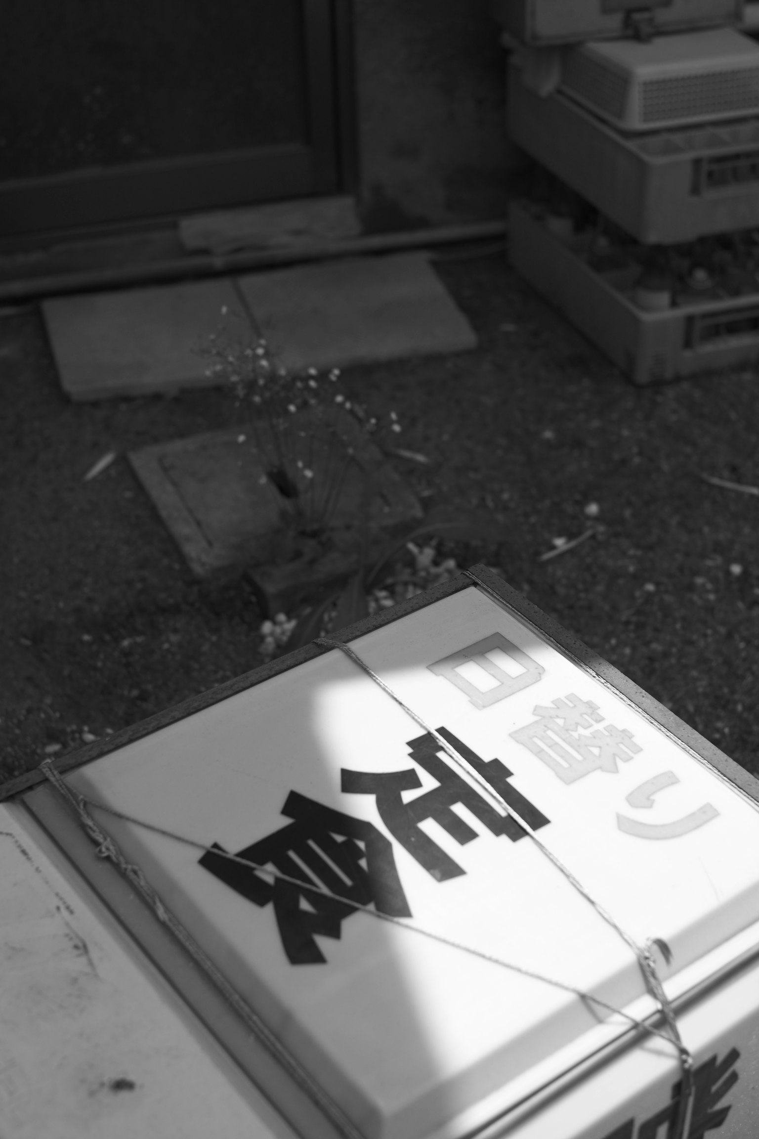 黑白標誌，上面有大字，周圍長滿了草
