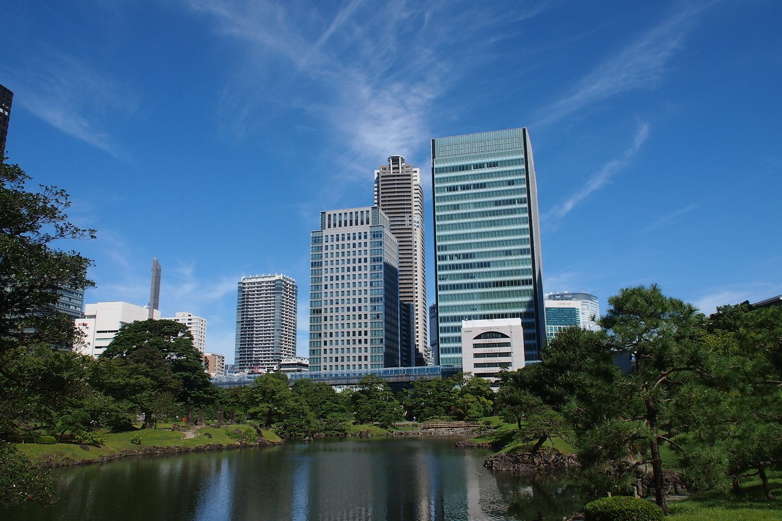 蓝天之下的城市风景，高楼大厦和绿树成荫的公园以及池塘
