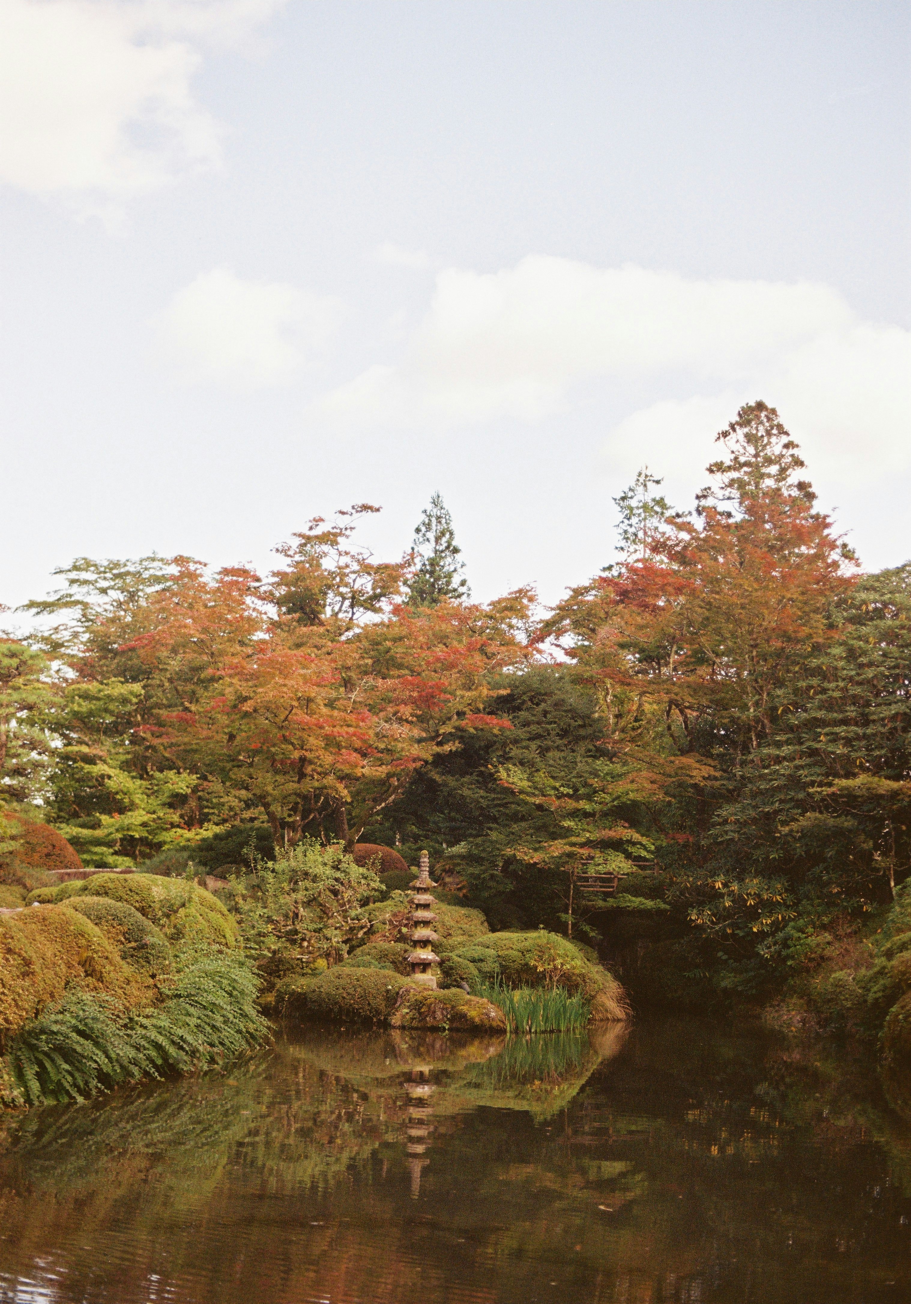 池に映る紅葉と苔むした庭の小道