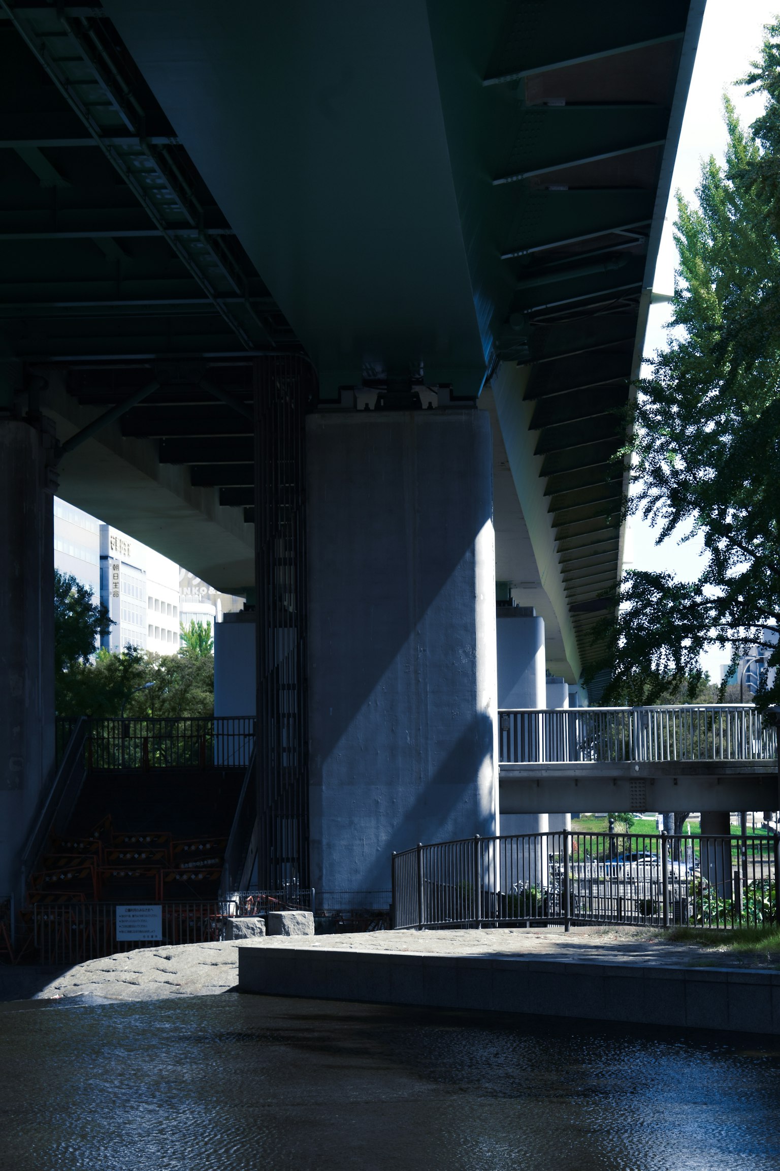 Pilares de concreto y sombras debajo de un puente con vegetación