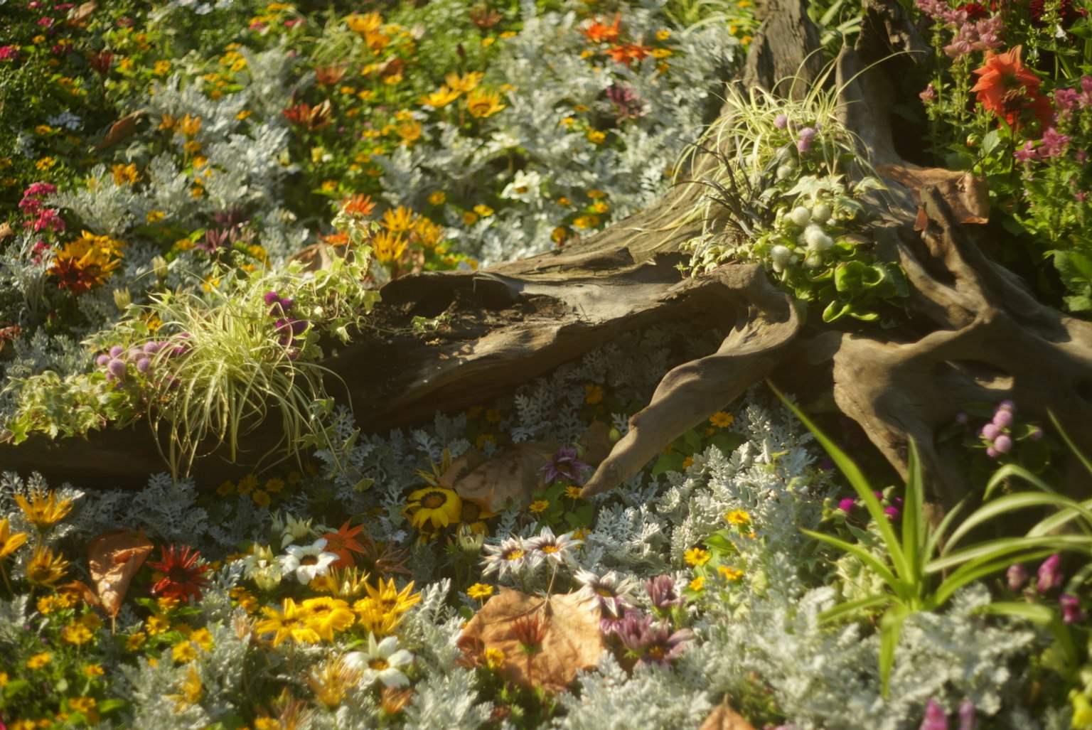Un paisaje vibrante con flores coloridas y plantas alrededor de una raíz de árbol