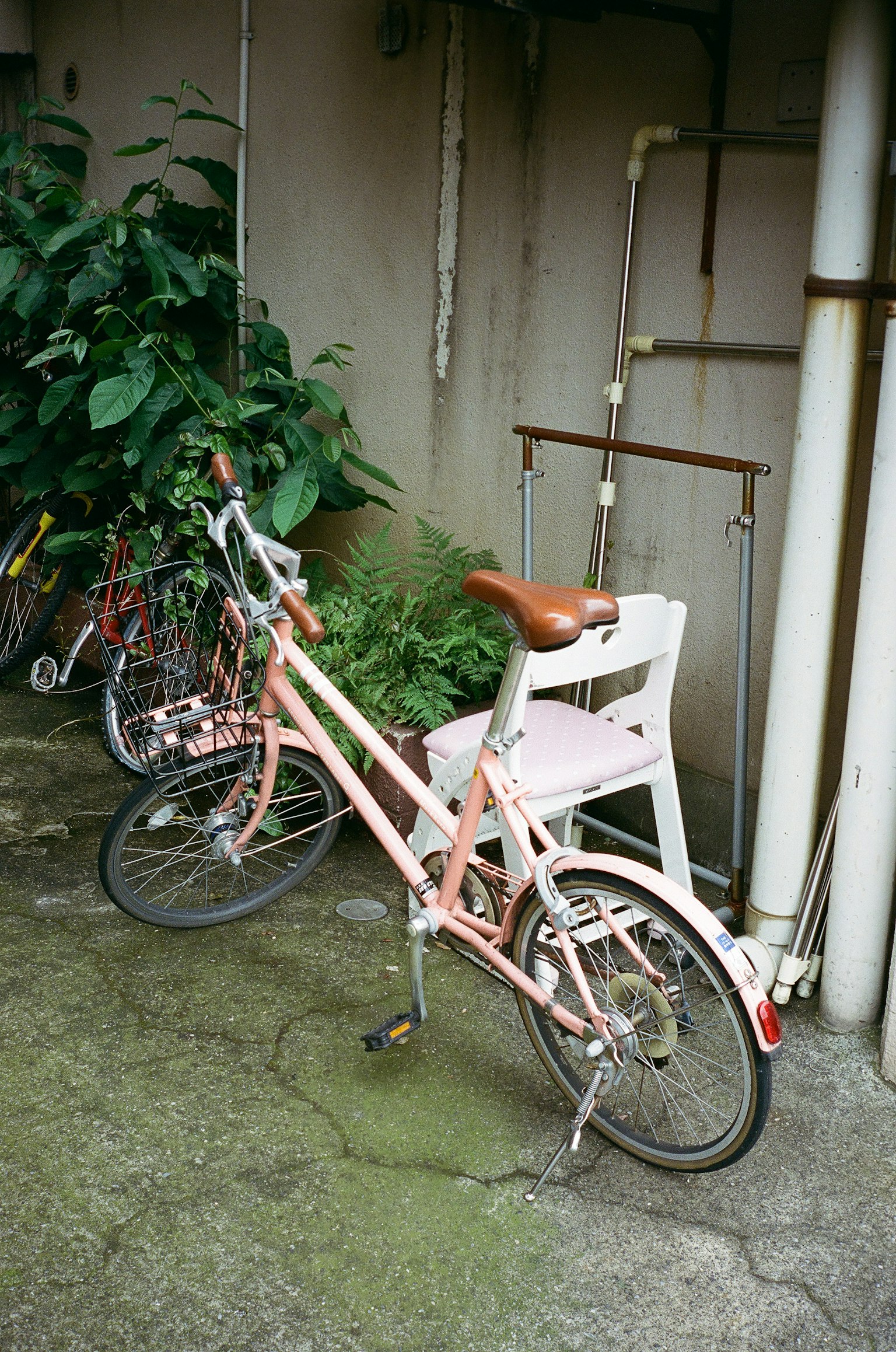Un vélo rose garé près de plantes vertes
