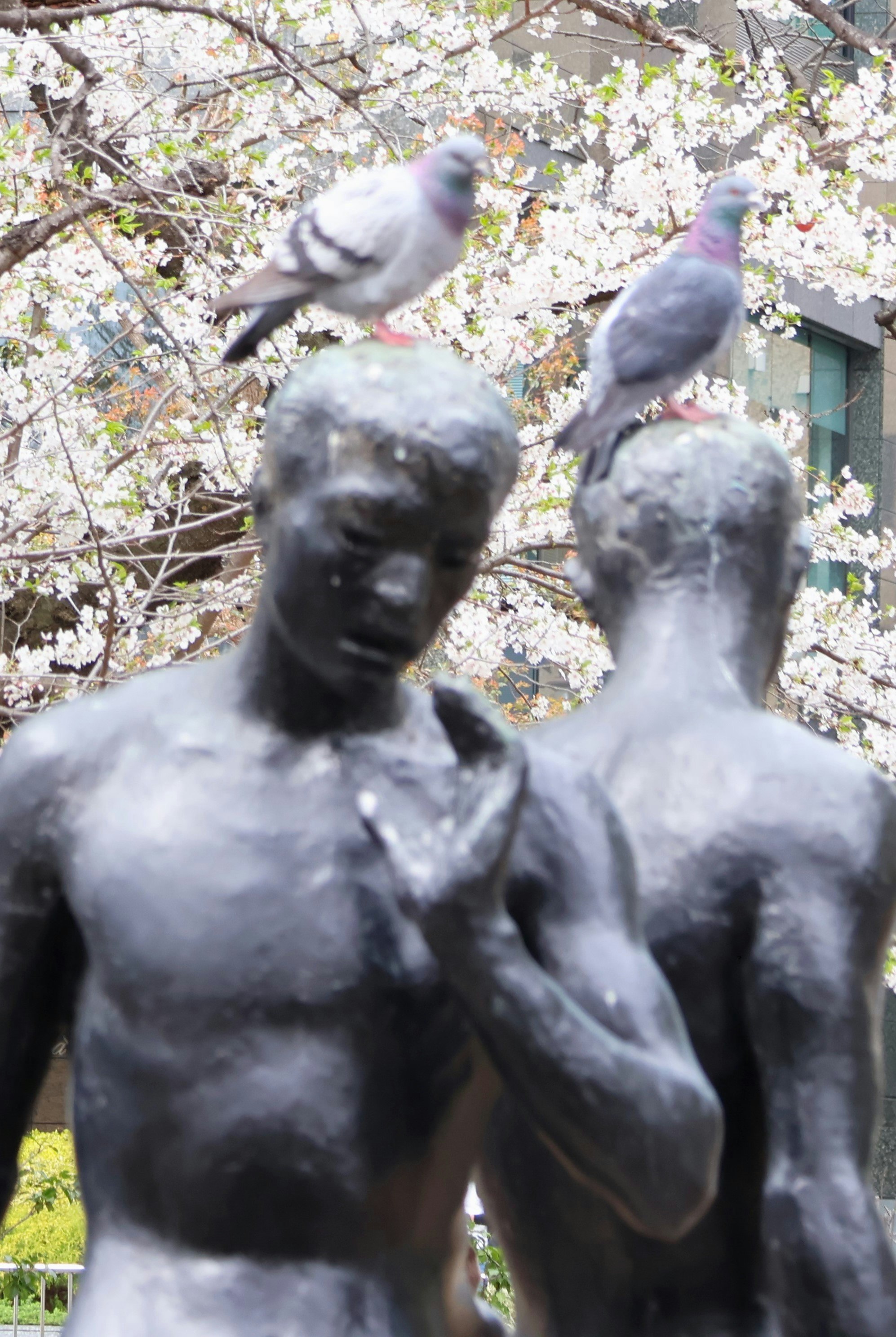 桜の木の下に並ぶ銅像と鳩
