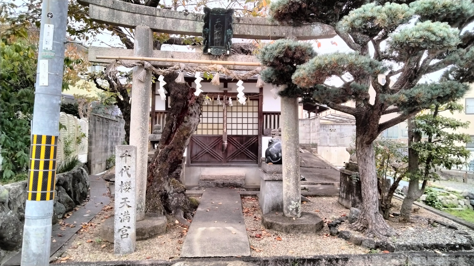 Entrance of a small shrine featuring a torii gate and well-maintained trees