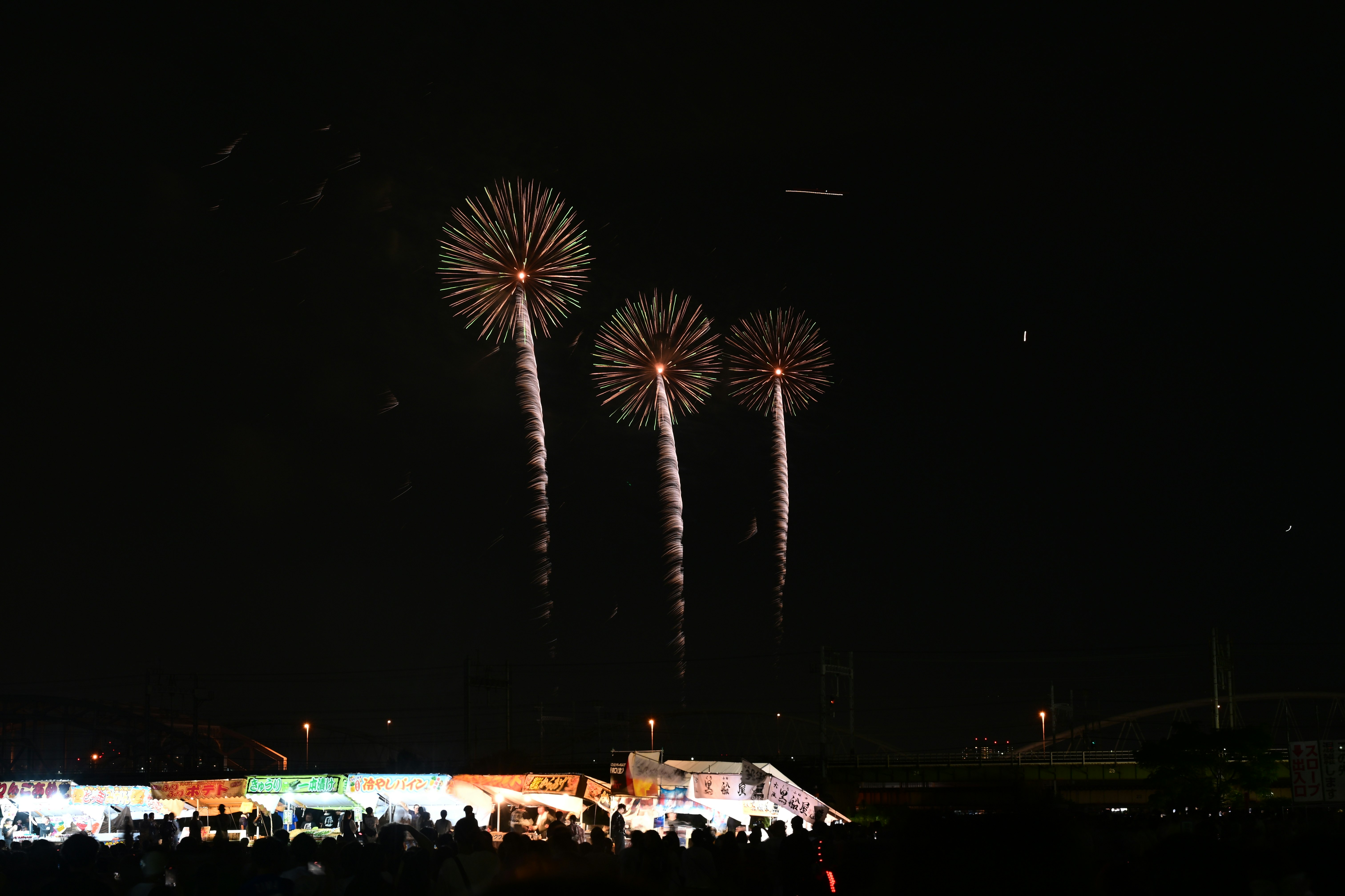 夜空中的烟花与观众人群的烟花活动