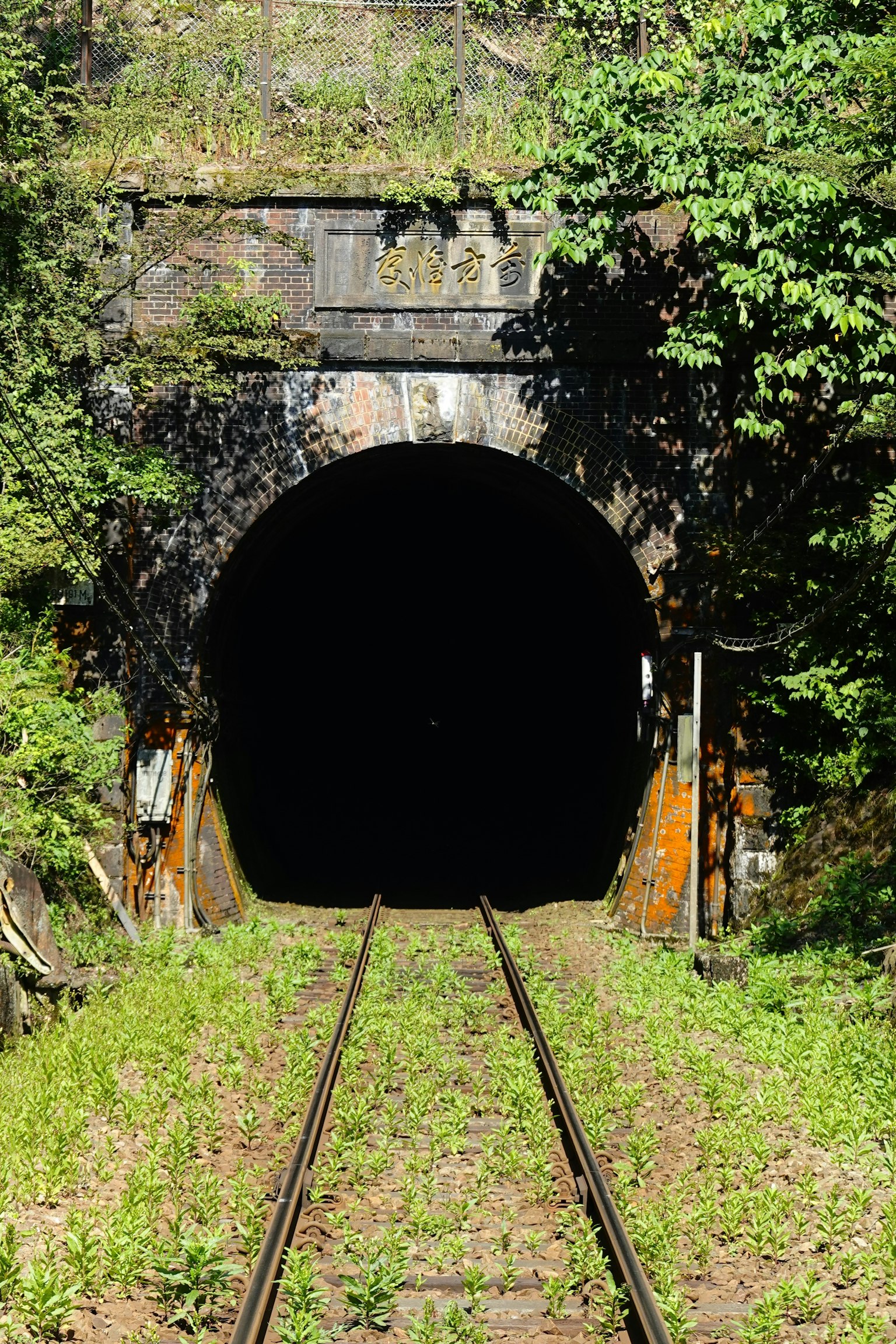 Entrée de tunnel avec des voies envahies et de la verdure environnante