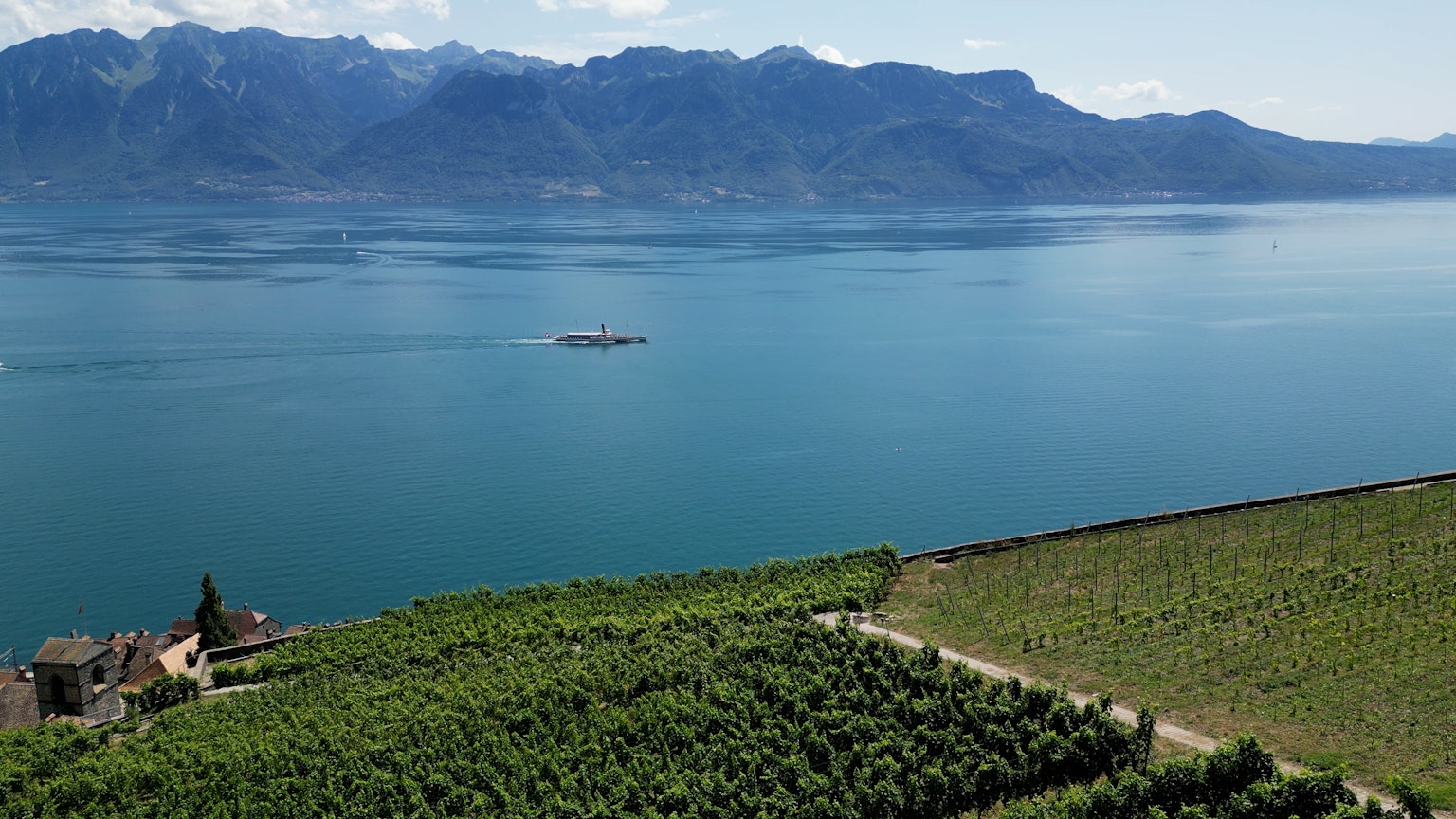 Lebendige Weinlandschaft umgeben von See und Bergen