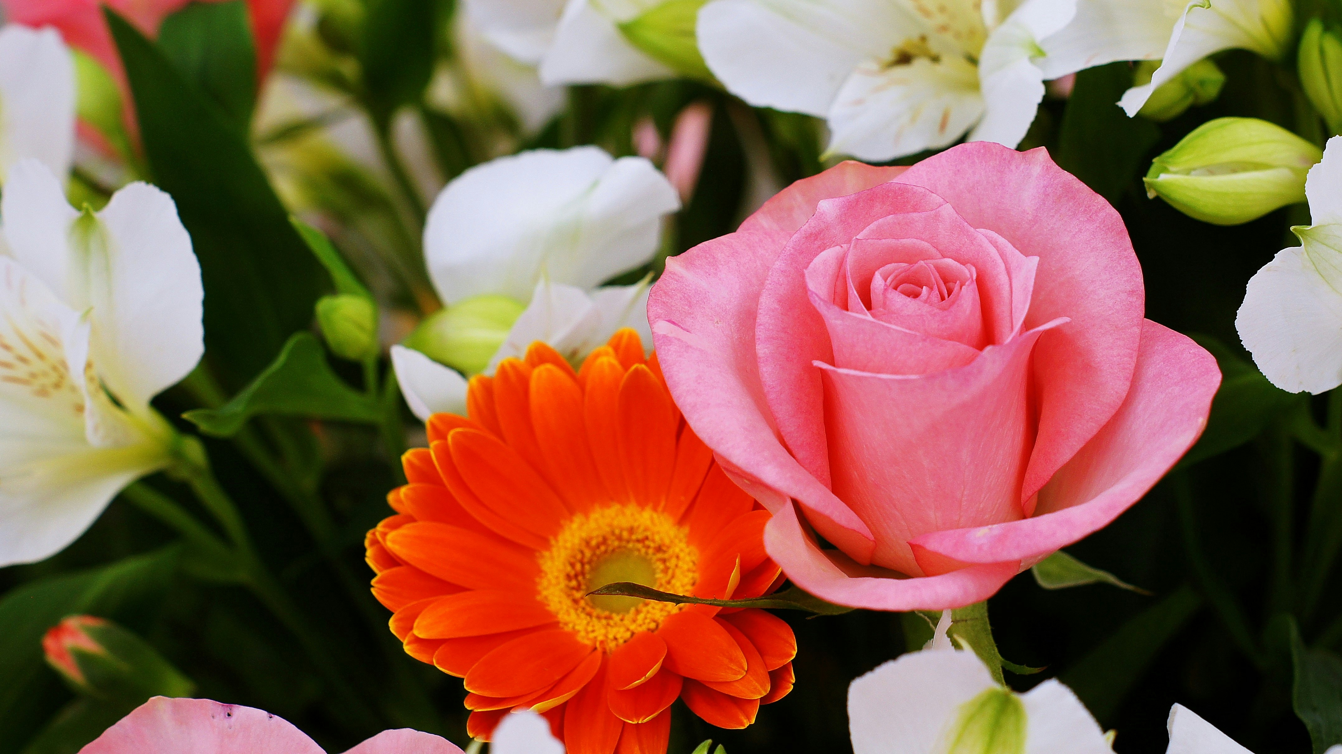ピンクのバラとオレンジのガーベラの花束