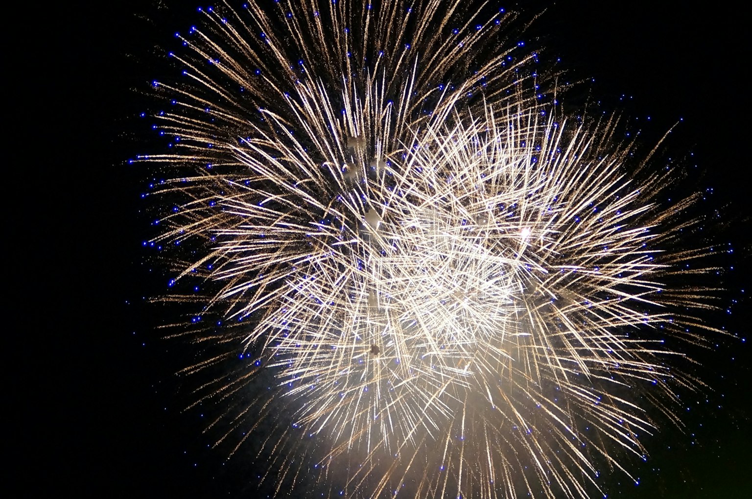 Beautiful display of fireworks lighting up the night sky