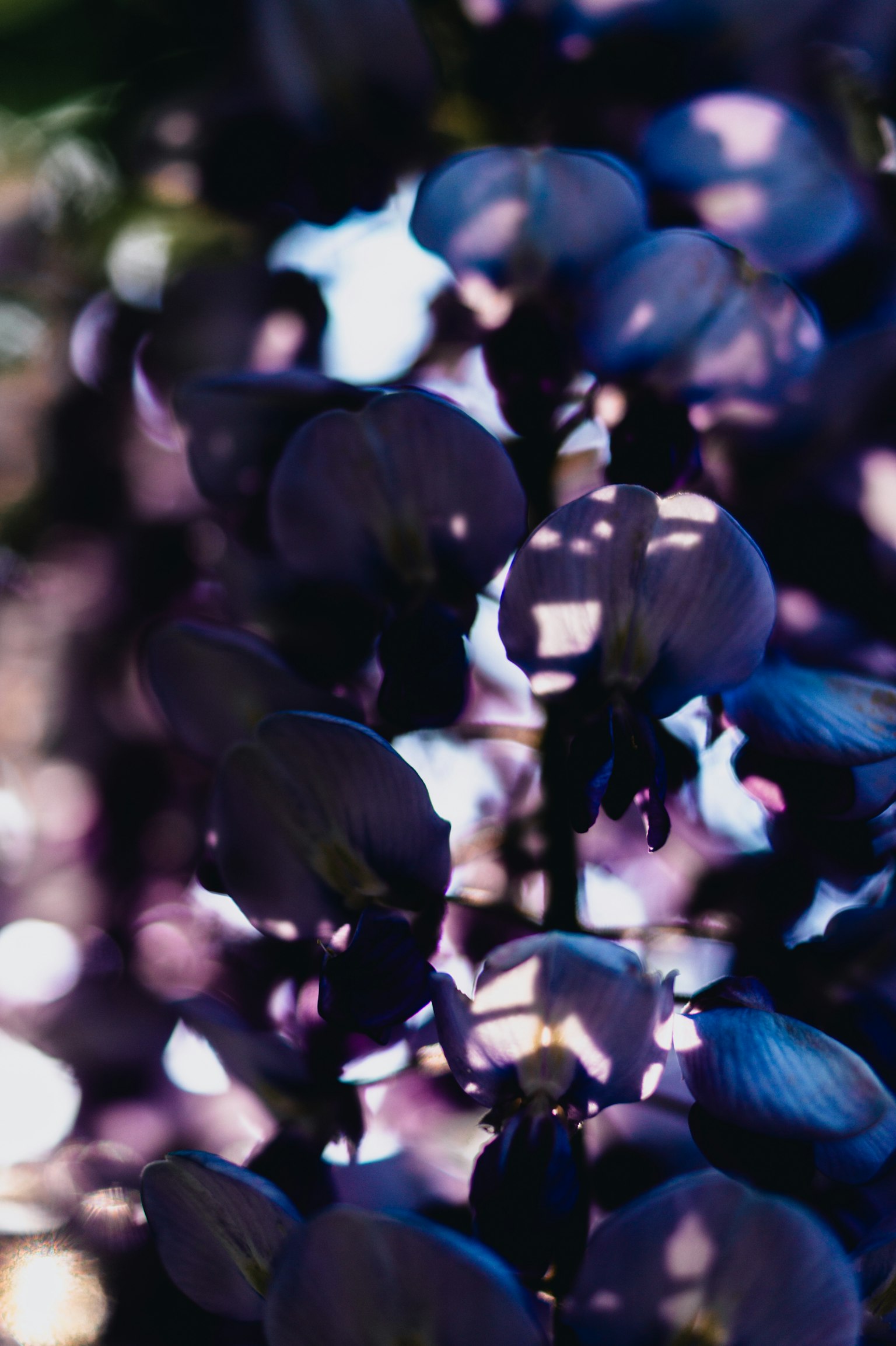 photo-BZ3G6gQ5vl9i86f4r98R-image