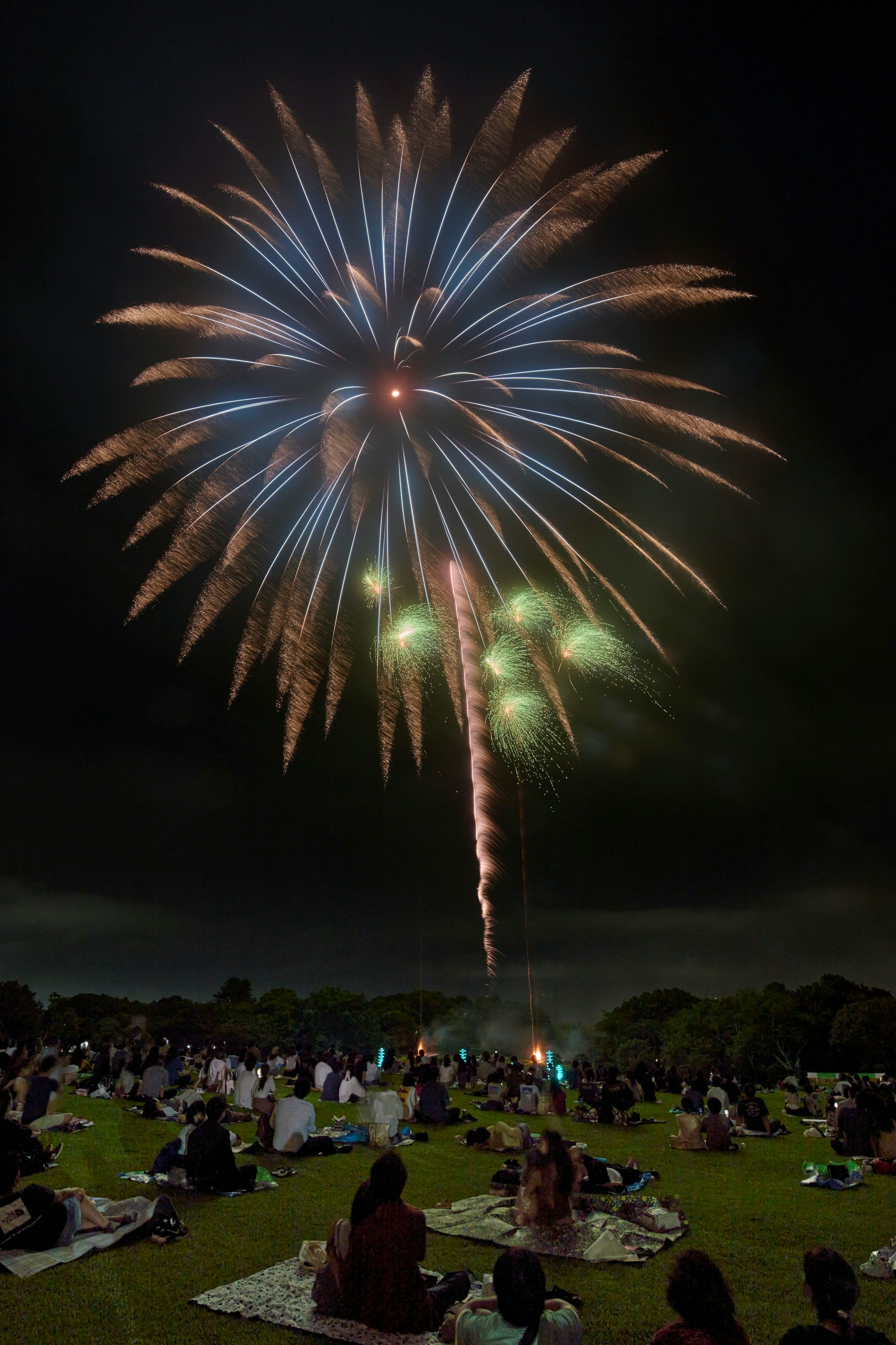 夜空に咲く花火と芝生で観覧する人々の集まり