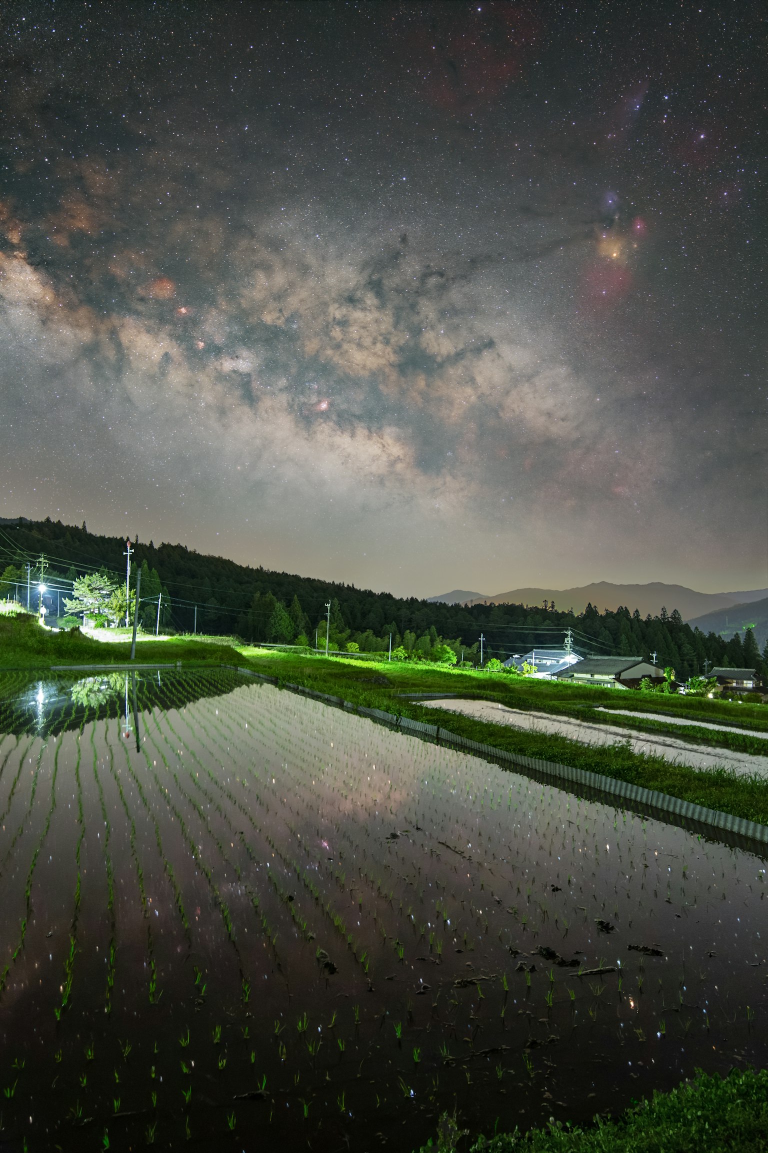 Pemandangan pedesaan dengan sawah di bawah langit berbintang