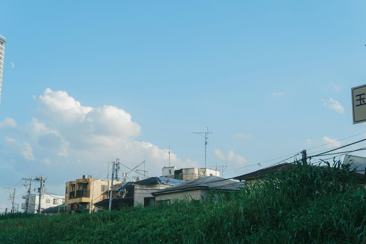 蓝天下的建筑和草地景观