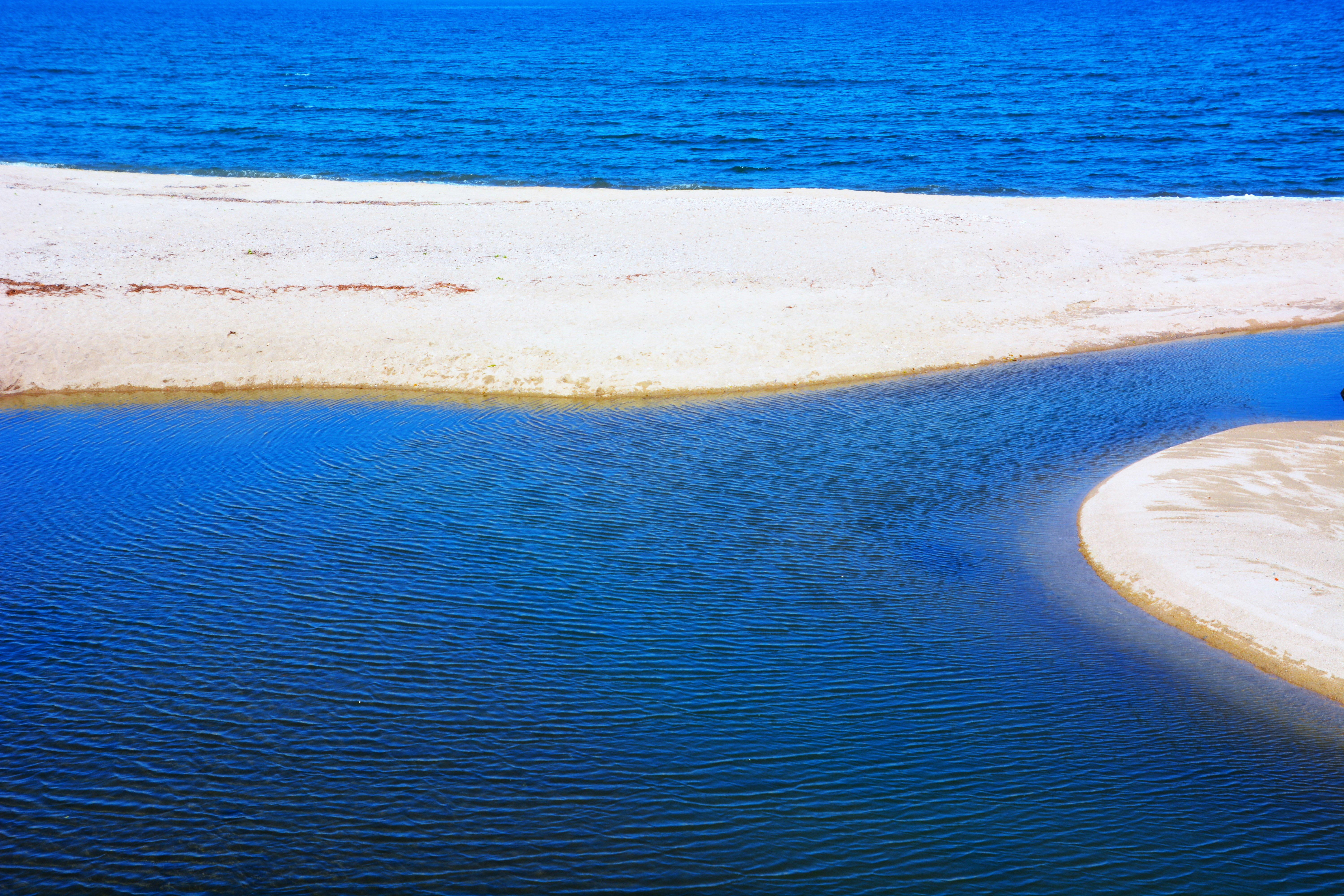 人のいない夏の海辺の波と砂浜の曲線