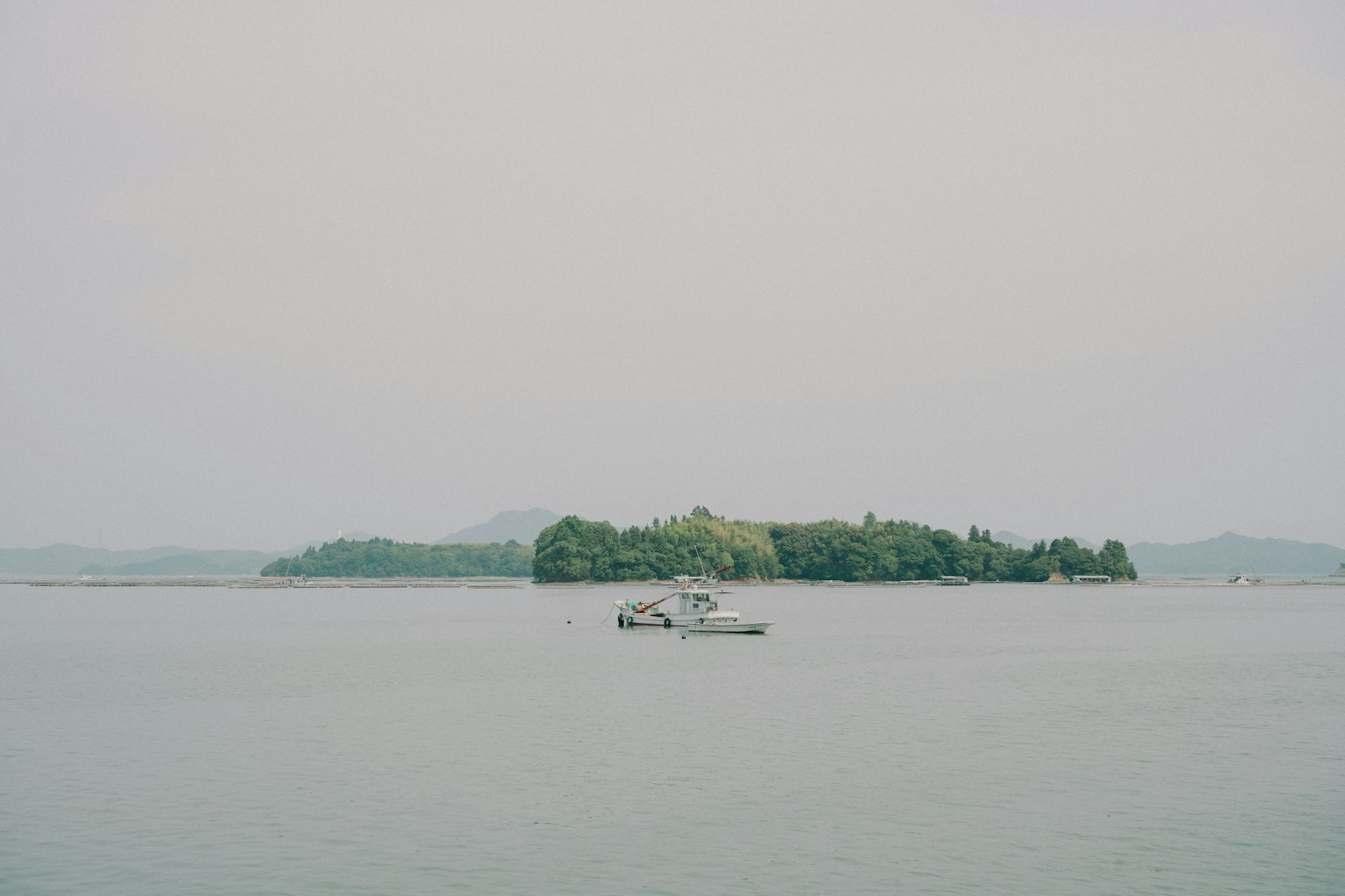 Une petite île avec une végétation luxuriante sur un lac calme avec un bateau