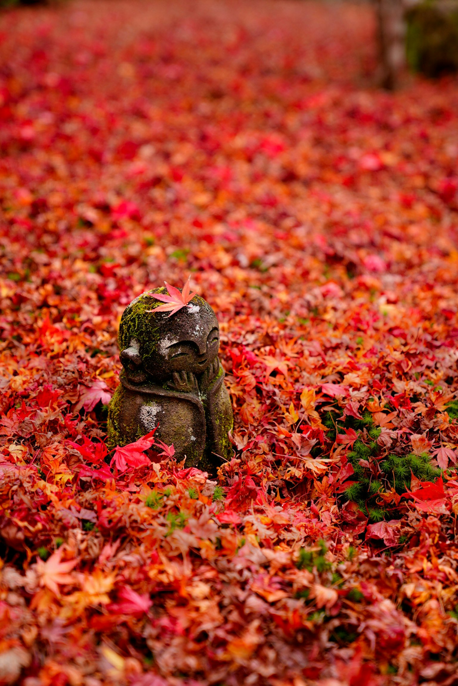A small stone statue surrounded by vibrant red autumn leaves