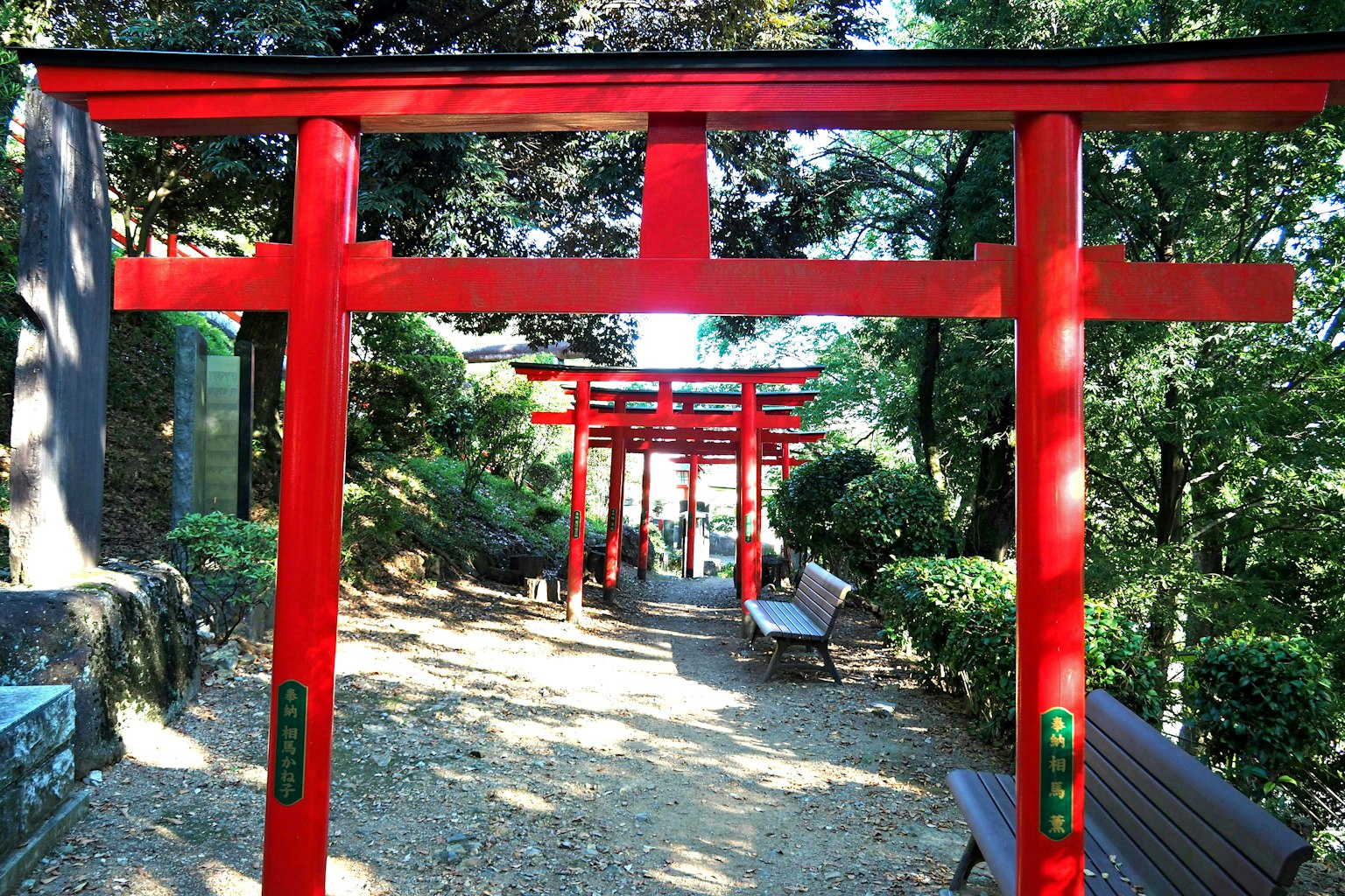 Pemandangan indah gerbang torii merah di sepanjang jalur hijau