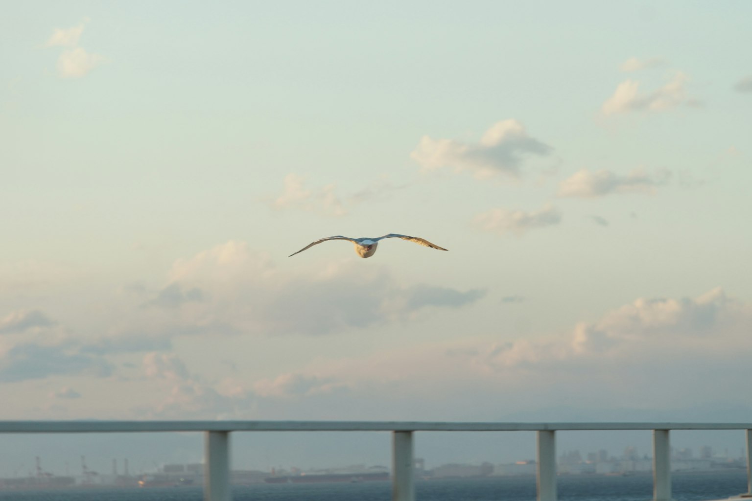 A white bird flying against a blue sky with clouds