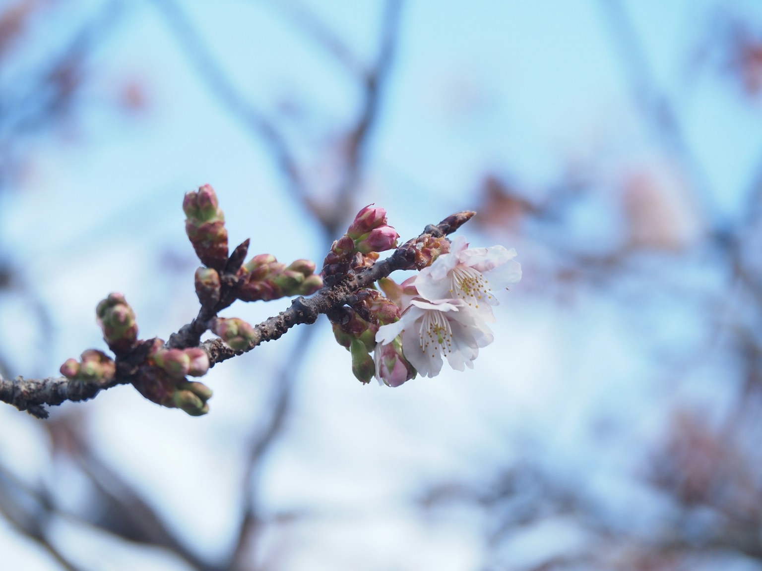 photo-Bb45hVh7zmMQr2M3va8R-image