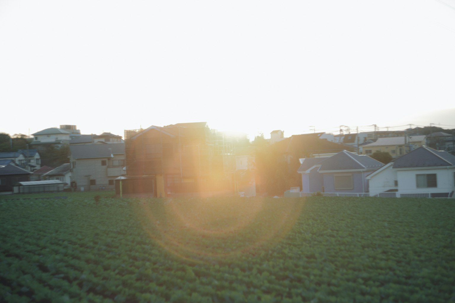 夕日が沈む田園風景と住宅街のシルエット