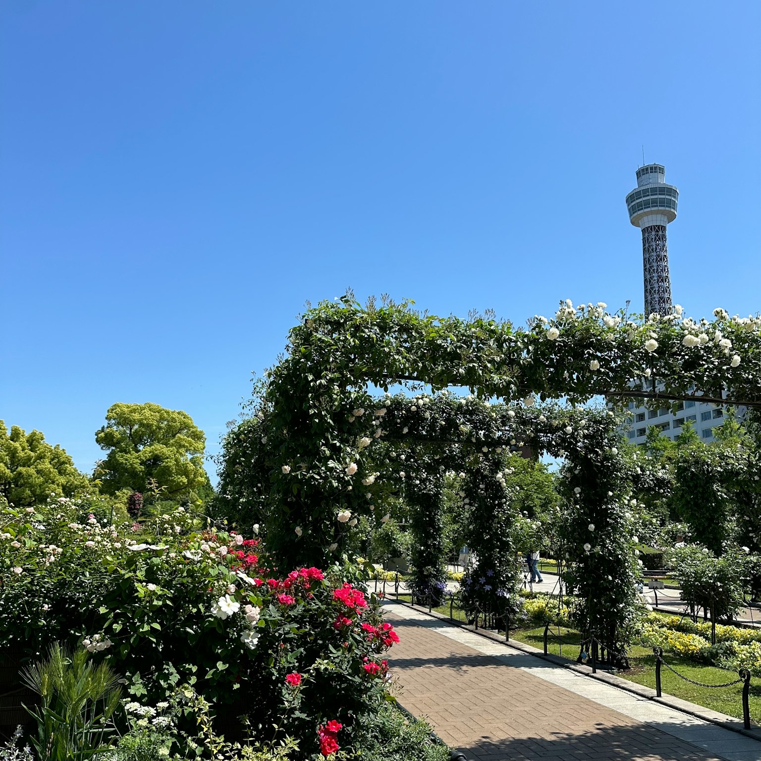 Escena de parque con flores en flor bajo un cielo azul claro y una torre alta