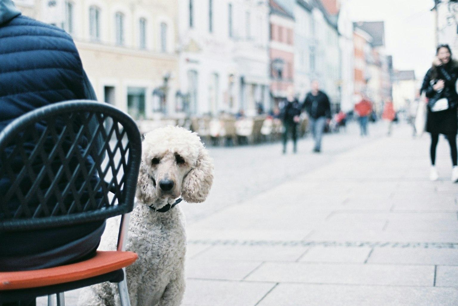 A scene of a person sitting at a café with a dog beside them
