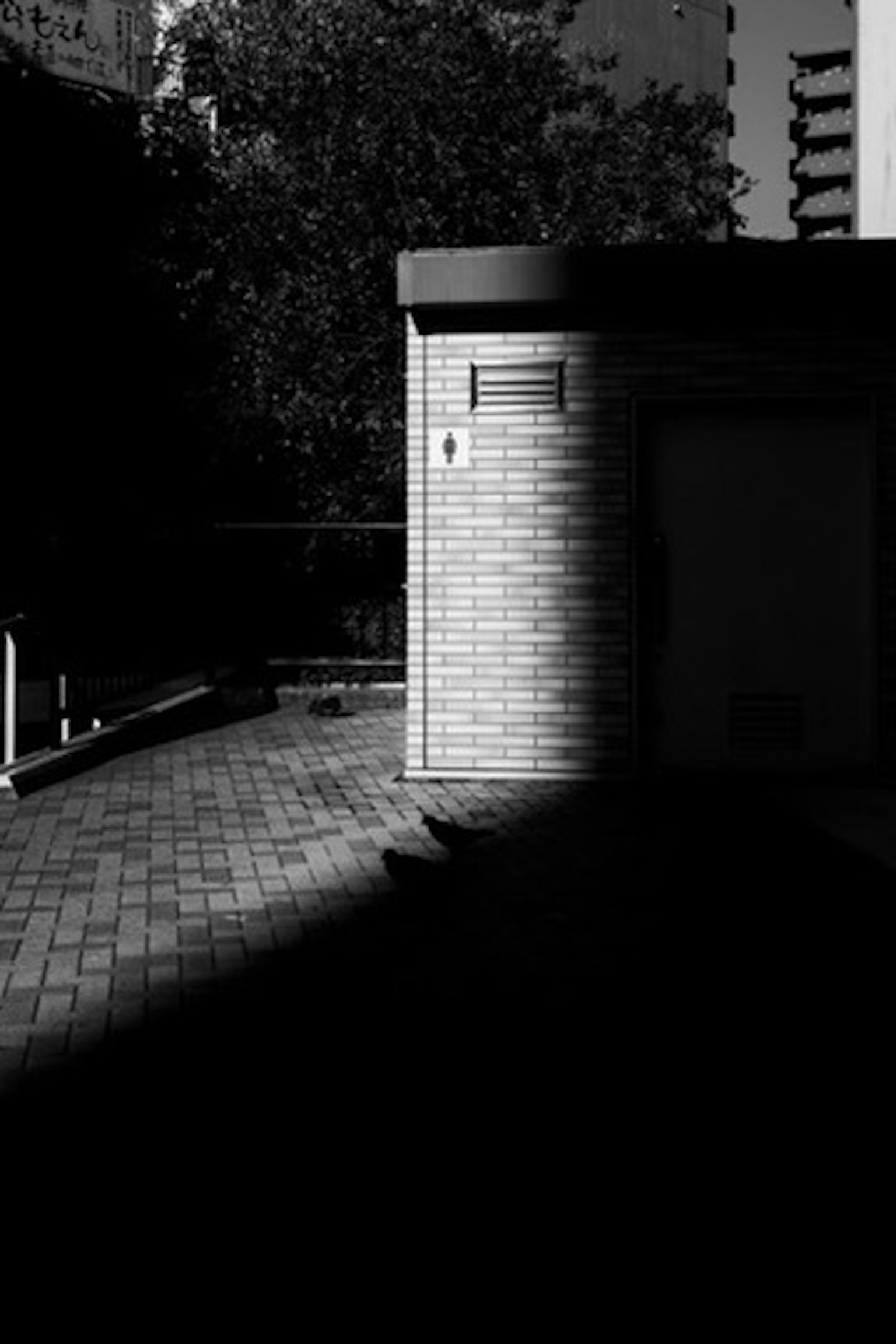 Immagine in bianco e nero che mostra un angolo di edificio con forte contrasto di ombra