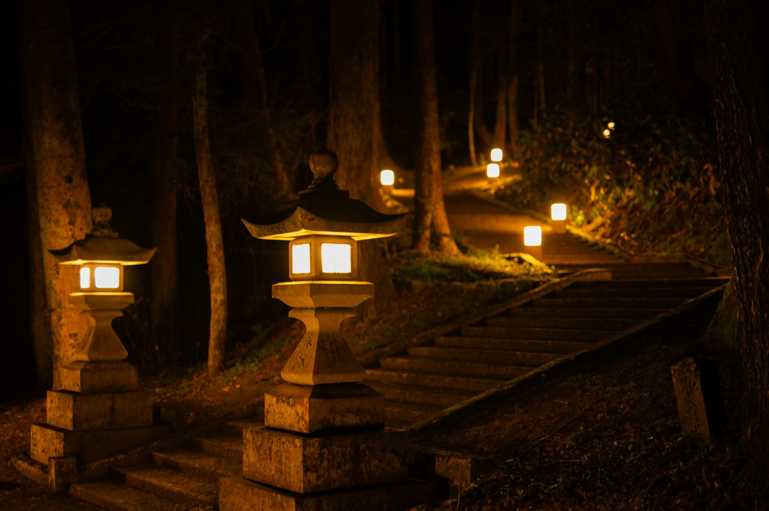 A serene pathway illuminated by stone lanterns in a dark forest