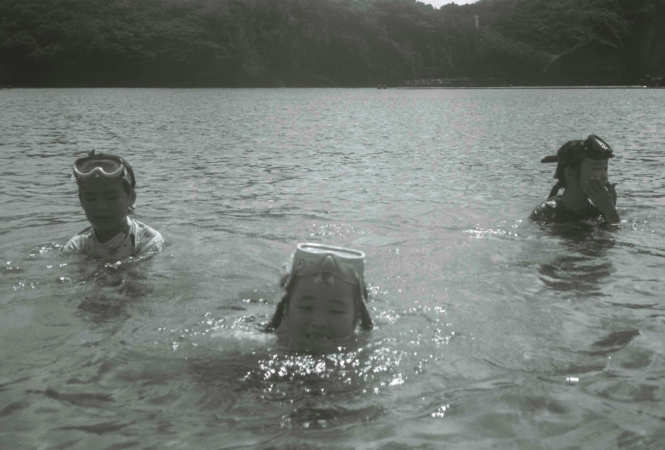 湖で泳ぐ人たちの水面と遠景の森