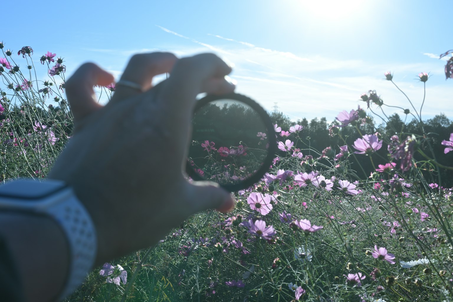 Una mano sosteniendo un anillo negro frente a un campo de flores