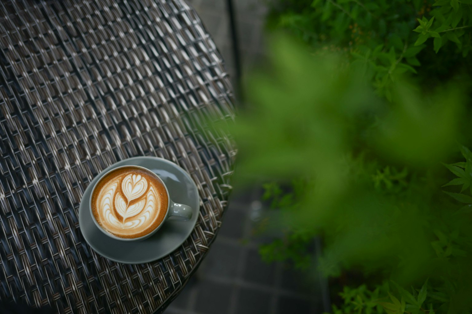 Una tazza di caffè con arte del latte su un tavolo circondato da vegetazione