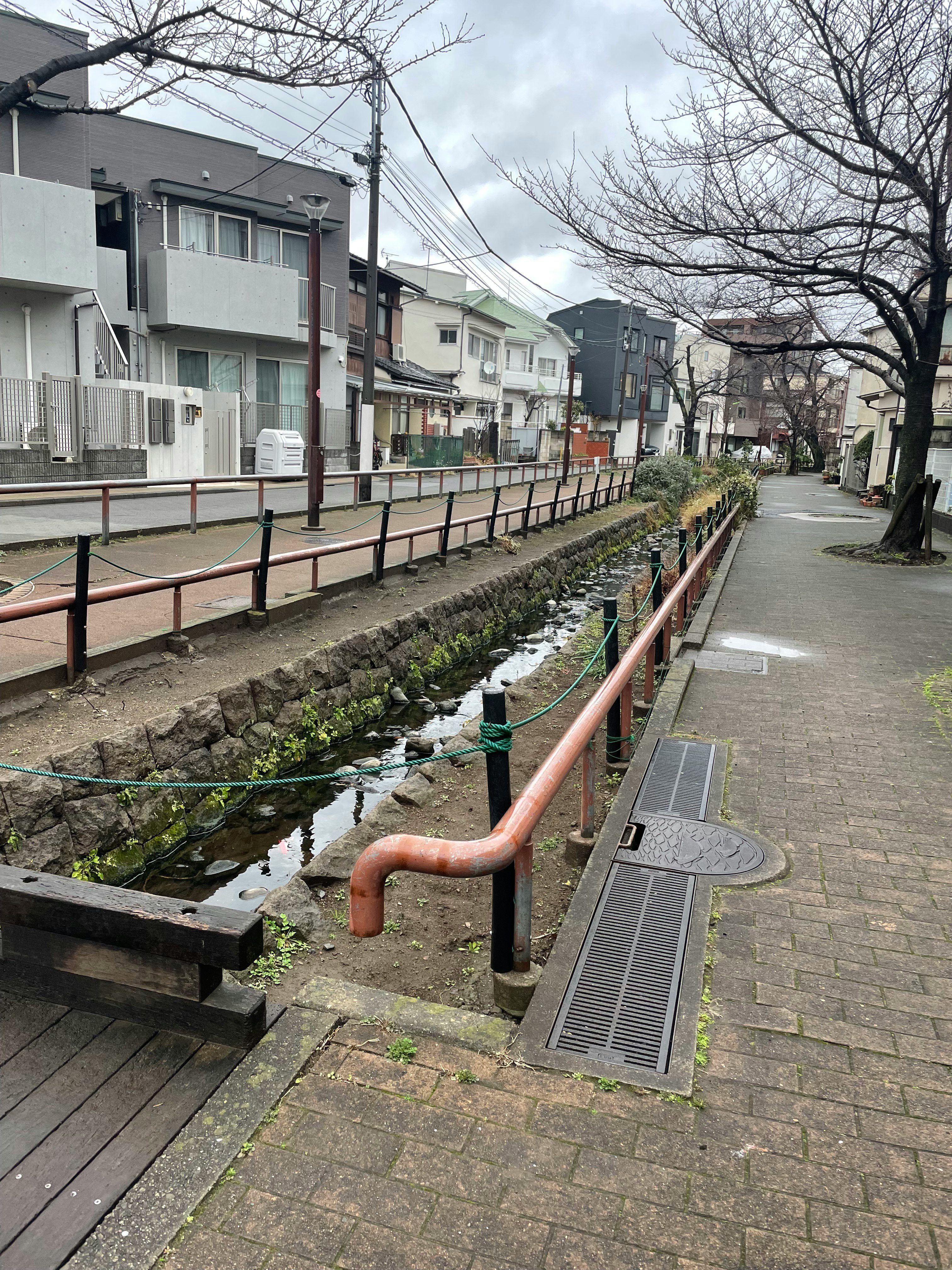 緑道沿いの並木と住宅街の小道