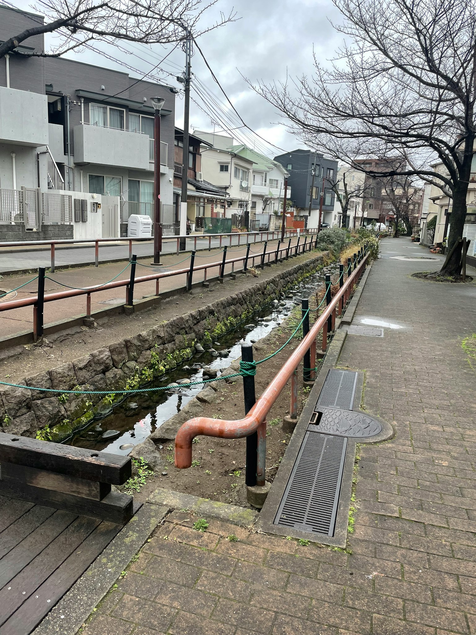 住宅区内小溪的风景，浑浊的水和可见的草