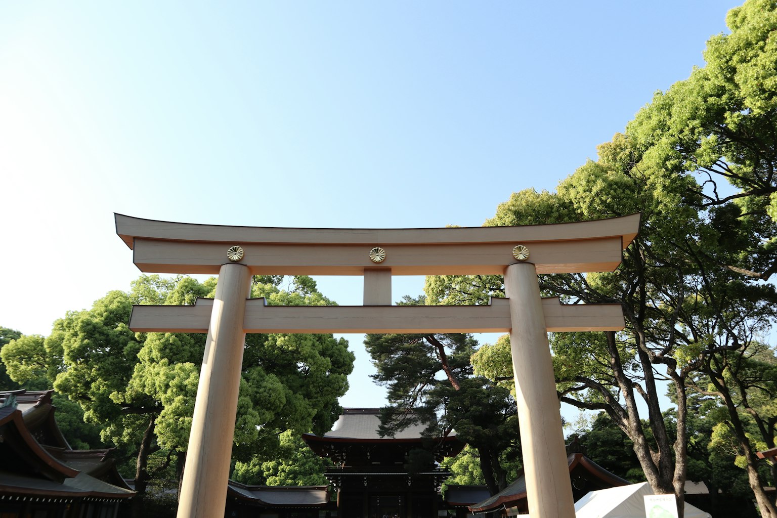 Portail torii sous un ciel bleu entouré d'arbres verts luxuriants