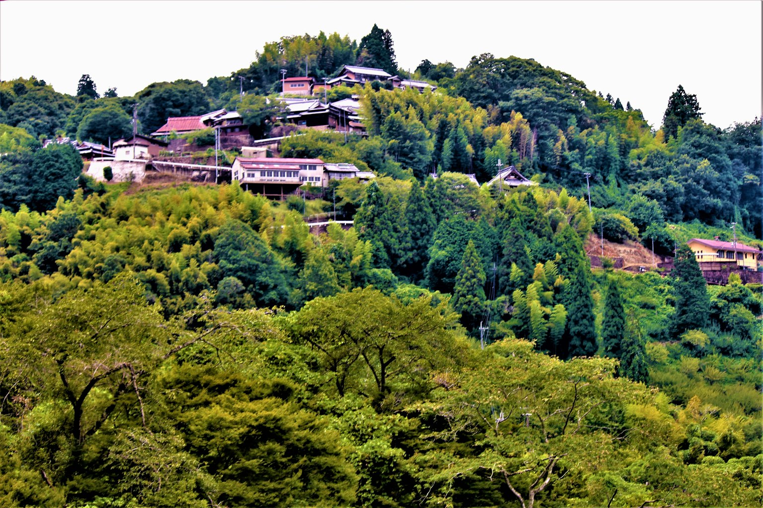 綠意盎然的山中小村莊的風景