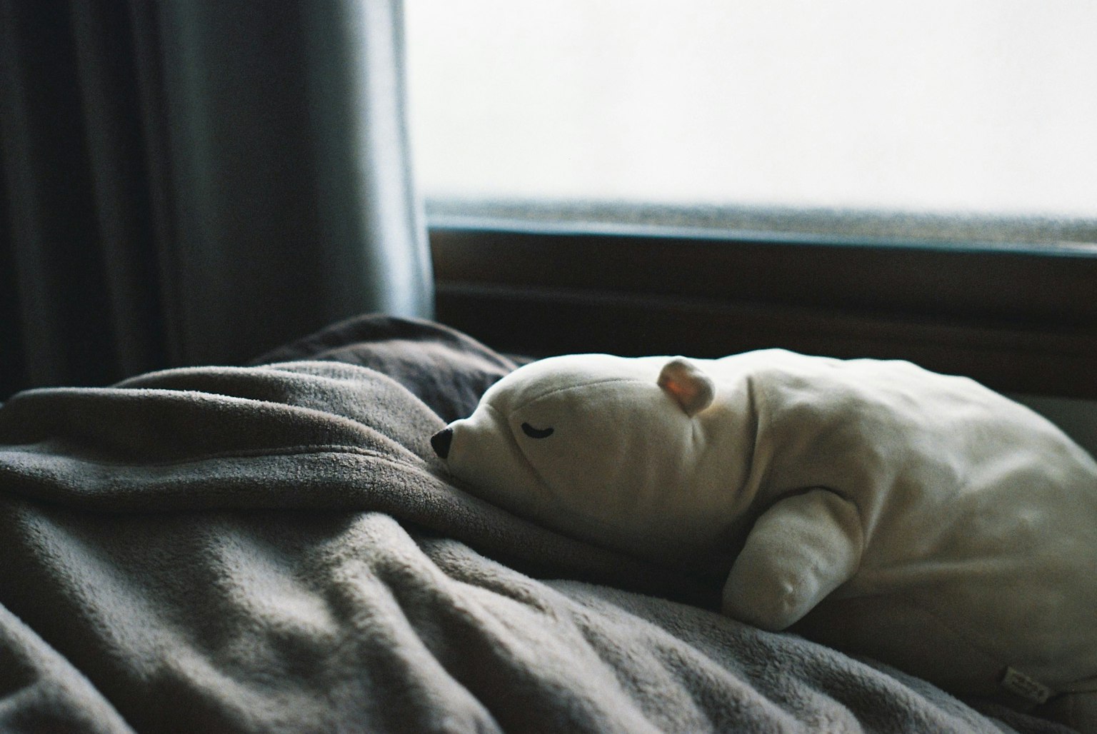 Boneka beruang putih yang tidur di atas selimut di dekat jendela