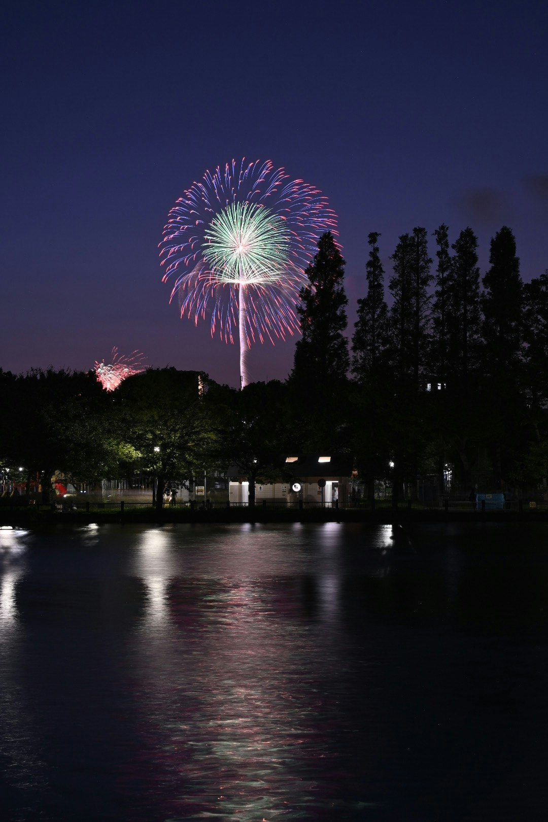feu d’artifice dans le ciel nocturne avec reflets sur une surface d’eau calme dans un parc
