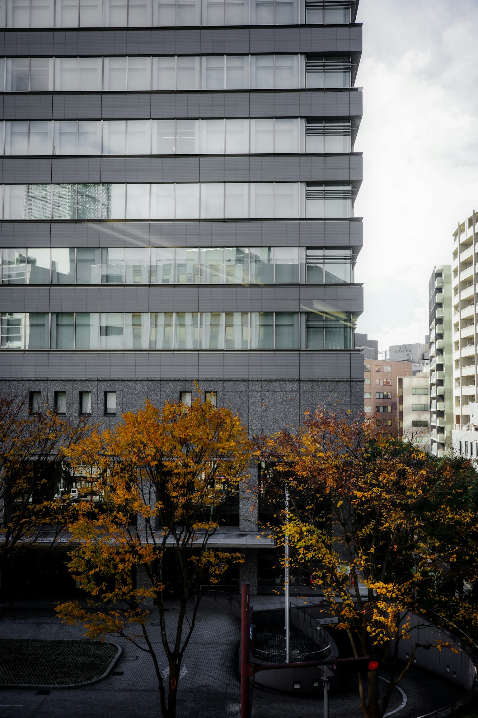Paisaje urbano con un rascacielos y árboles de otoño