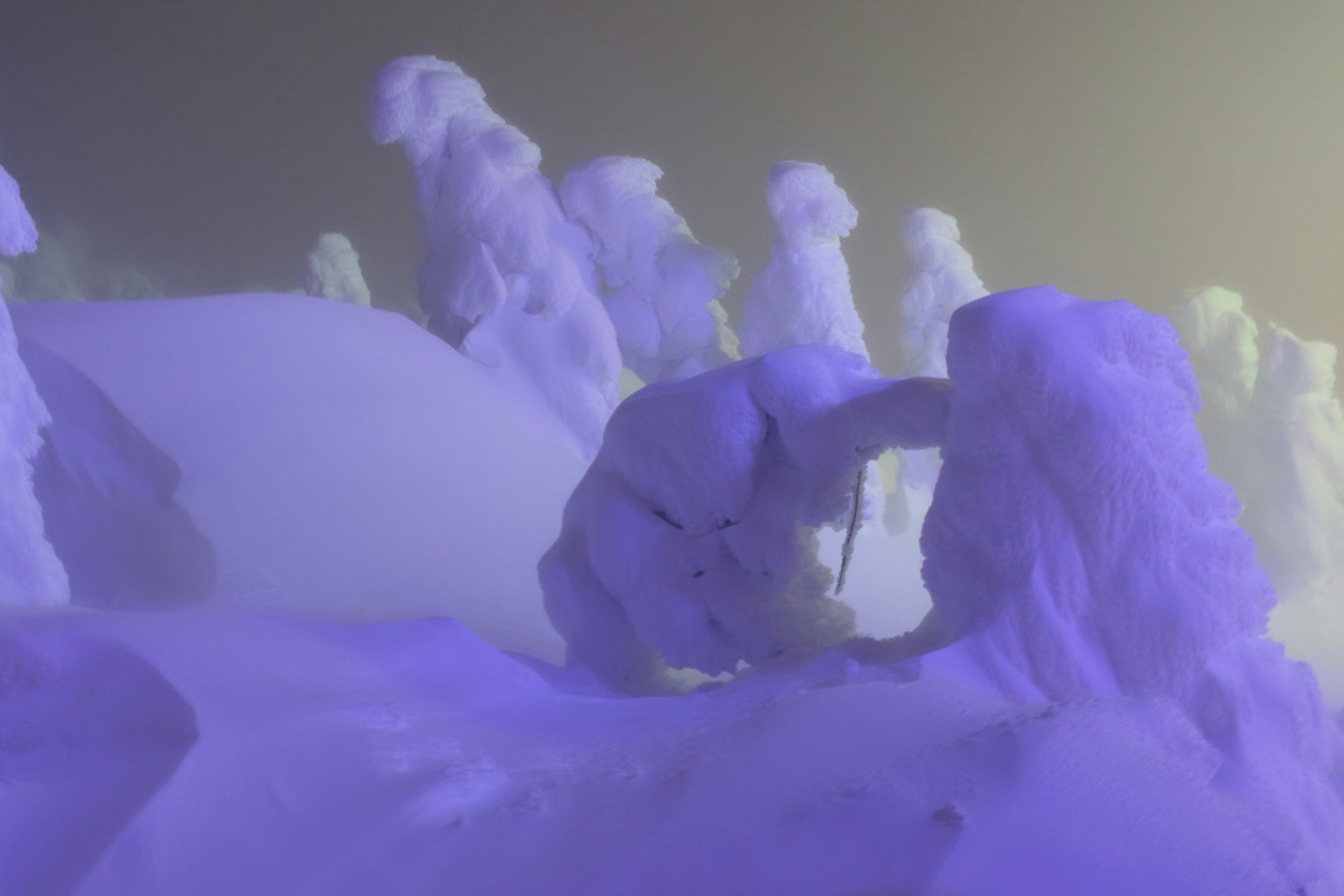 movimiento de personas en un espacio blanco con iluminación morada