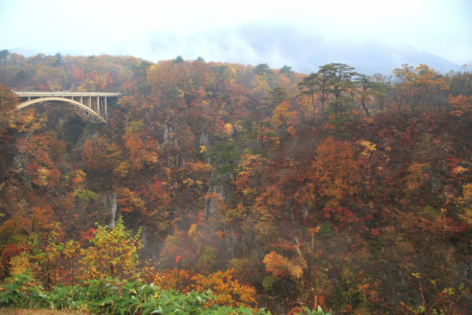 Colorful autumn foliage with a bridge in the background