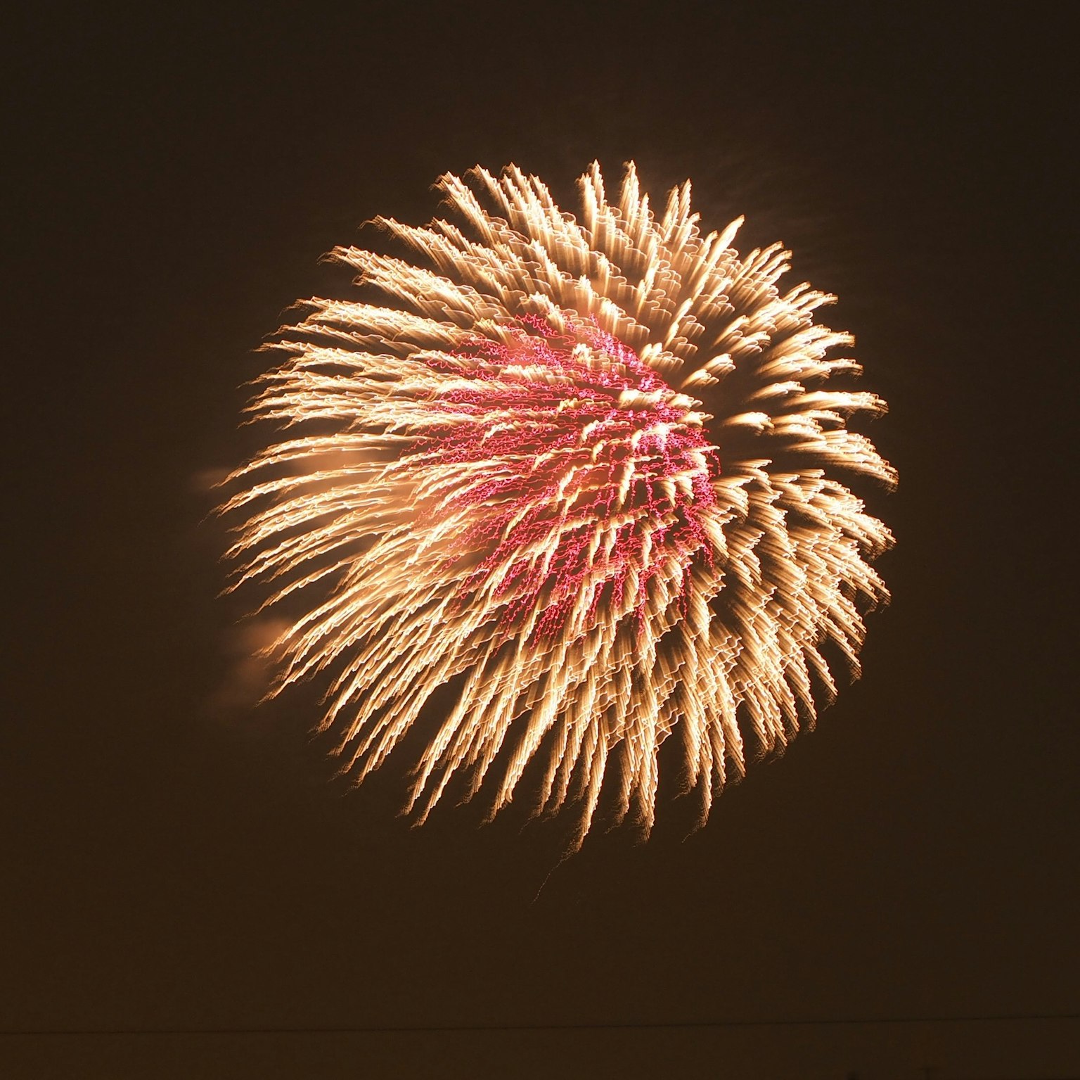 Esplosione di fuochi d'artificio colorati nel cielo notturno