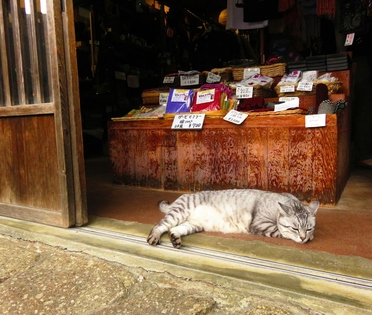 Gray cat sleeping in front of a shop with wooden counter and displayed items