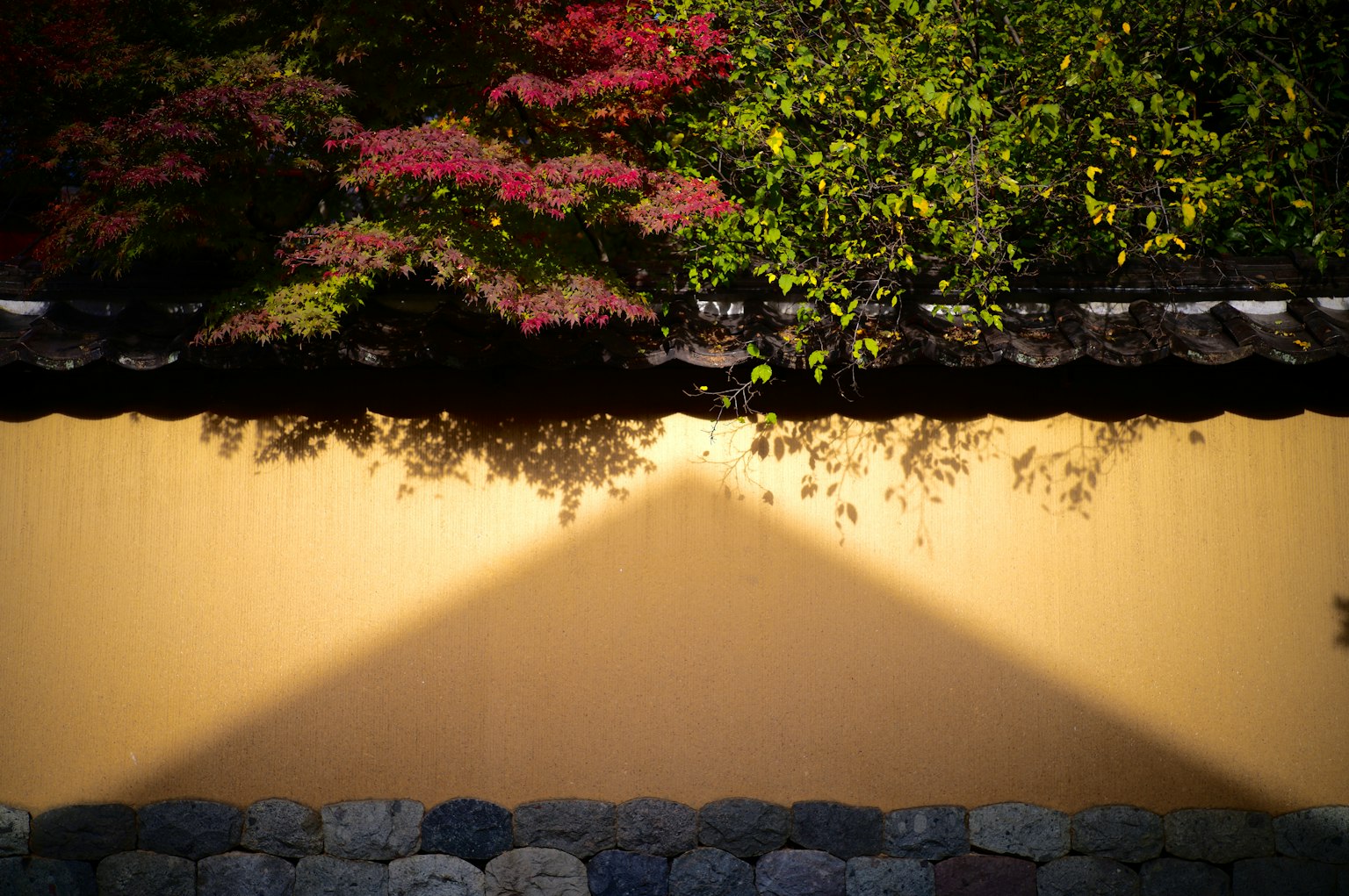 黄色い壁と石の基礎の上に紅葉の影が映る風景
