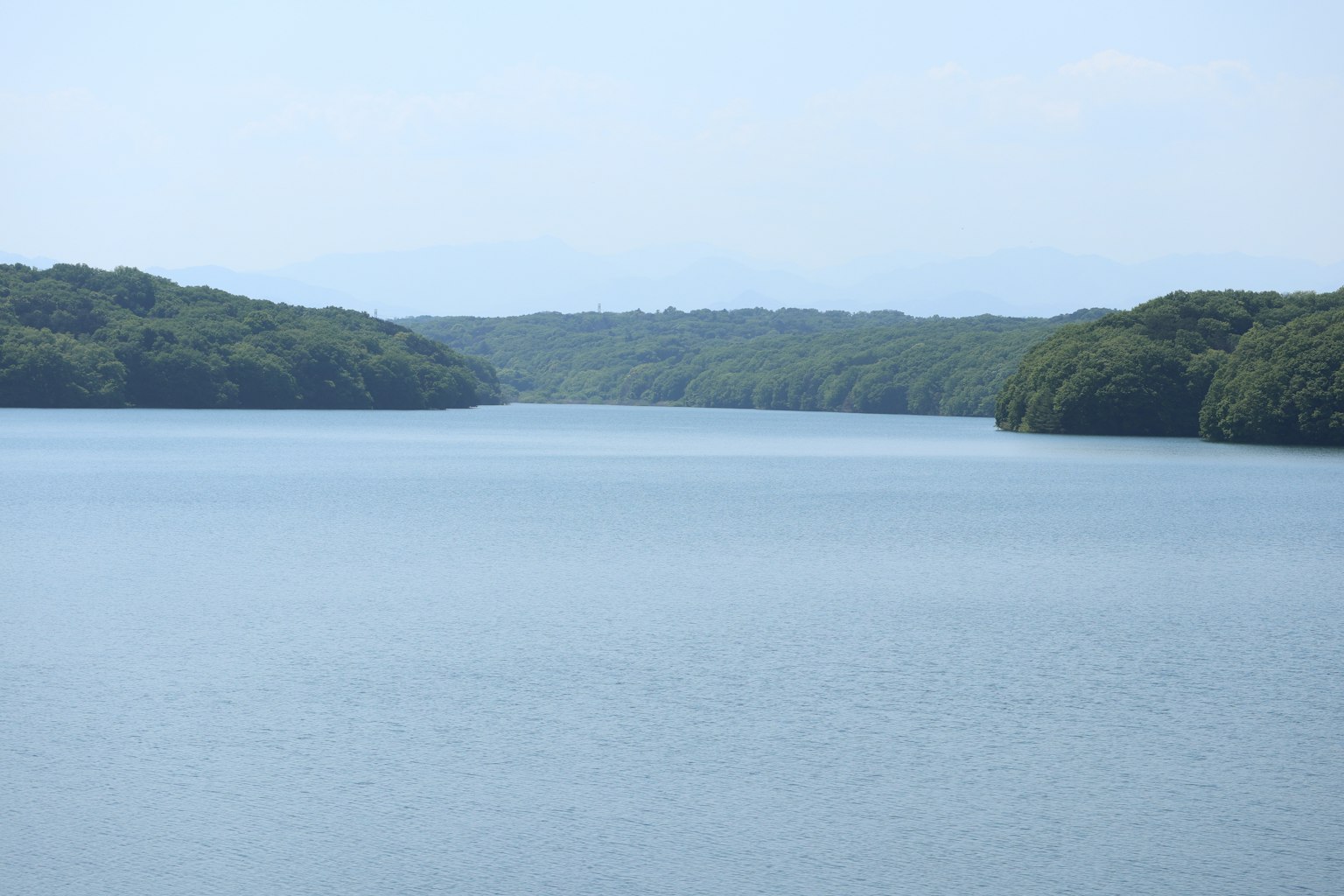 Lago tranquilo rodeado de bosques verdes