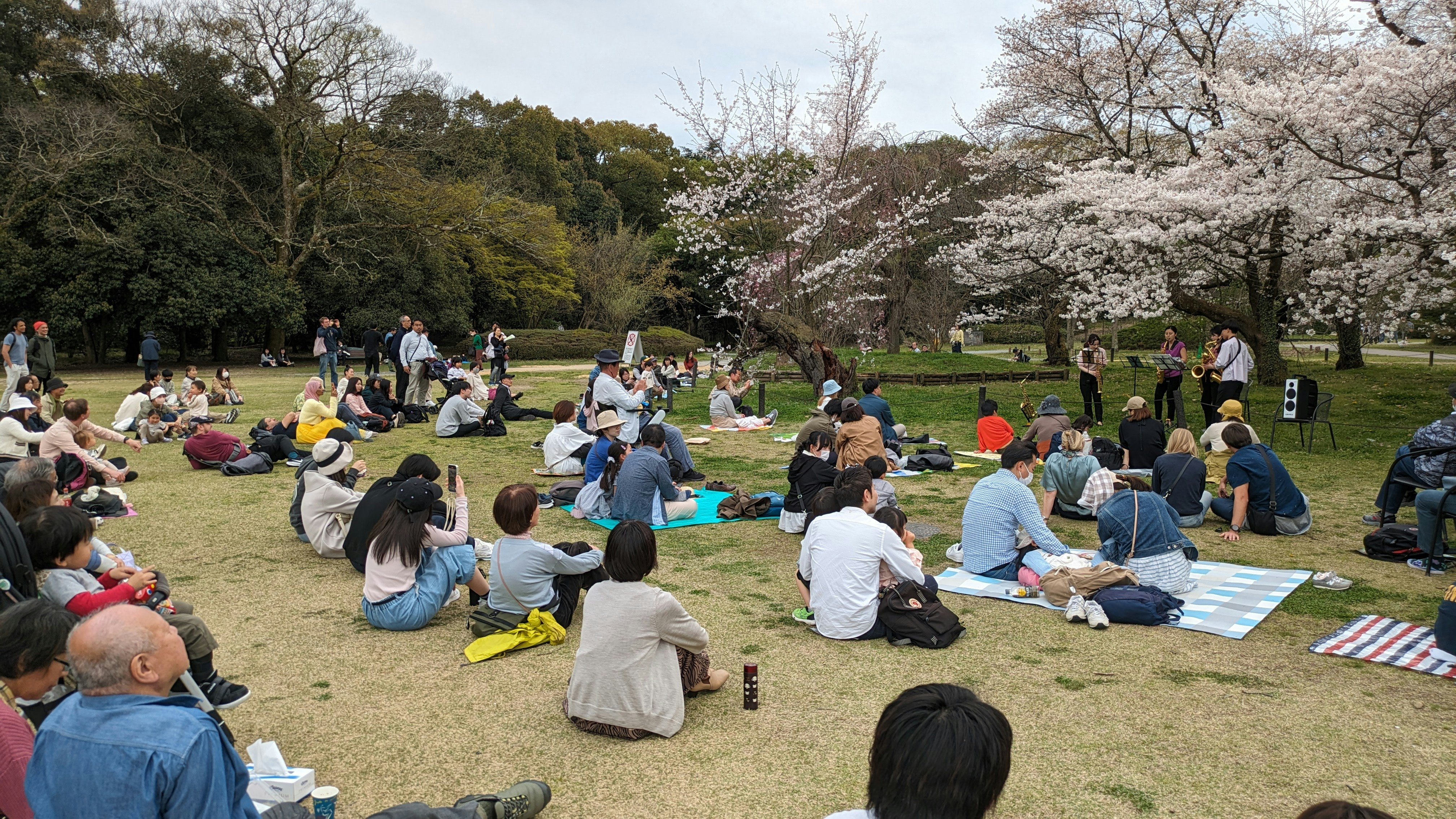 植物園の芝生で行われる春コンサートと花見の集い