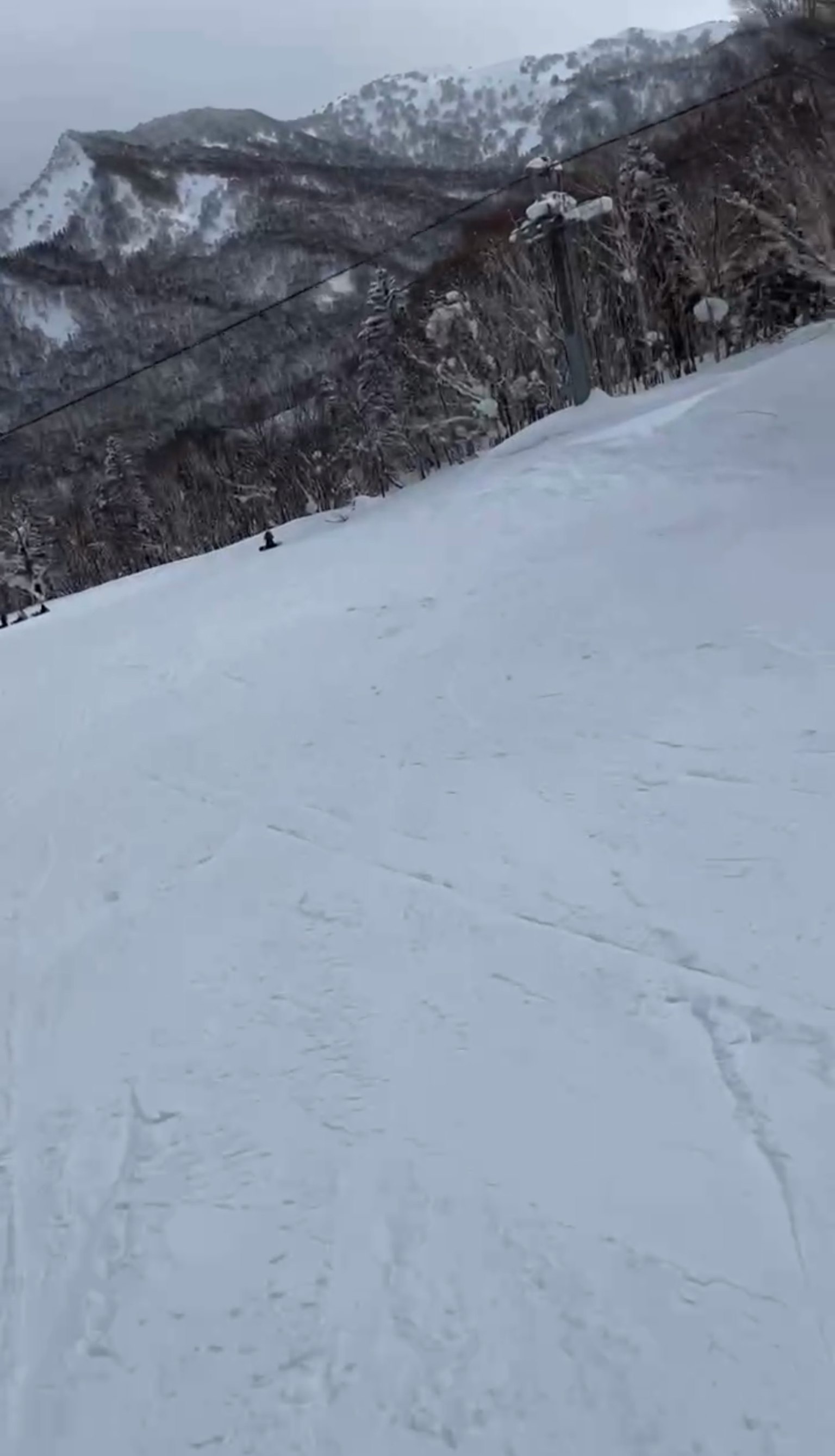 被雪覆盖的山坡和远处的山脉